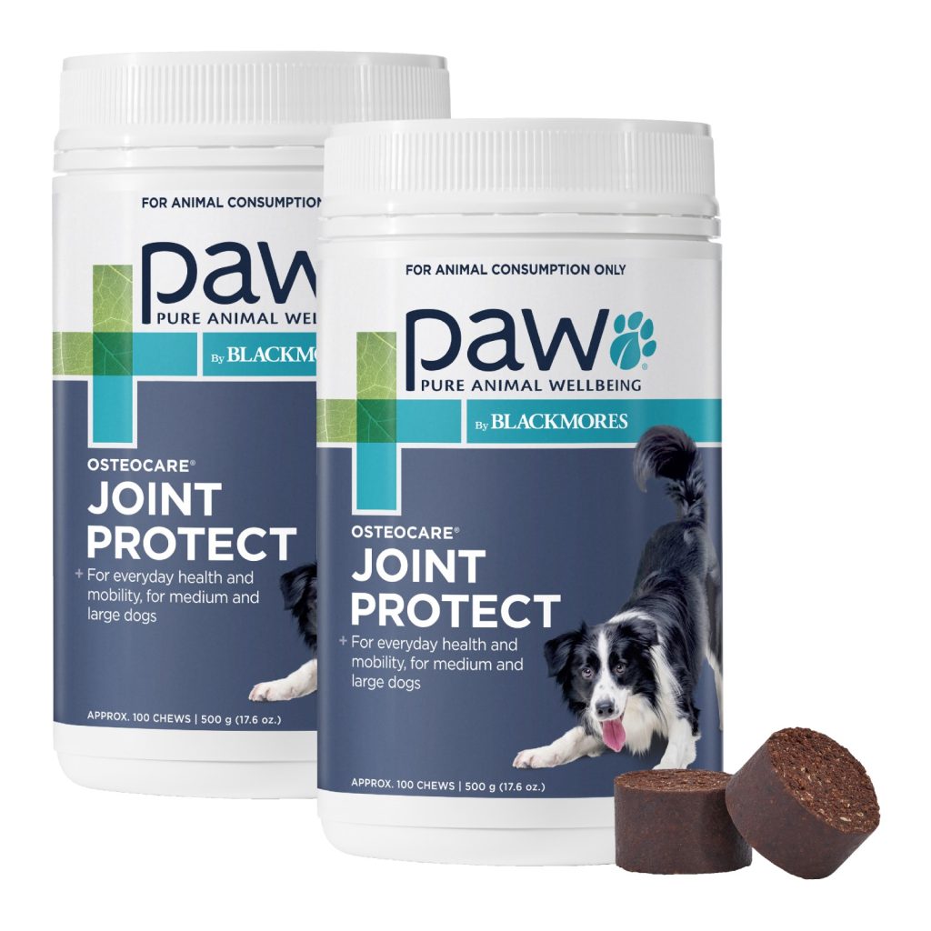 best-supplements-for-joint-pain-in-dogs-budget-pet-products