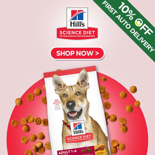 Budget dog supplies best sale