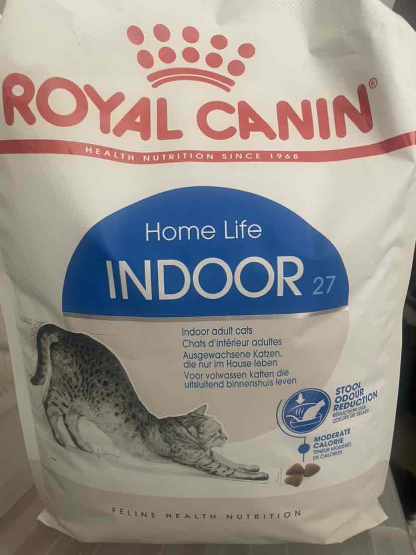 basic brand water bowls for dogs Cooler Dog Freezable Bowl