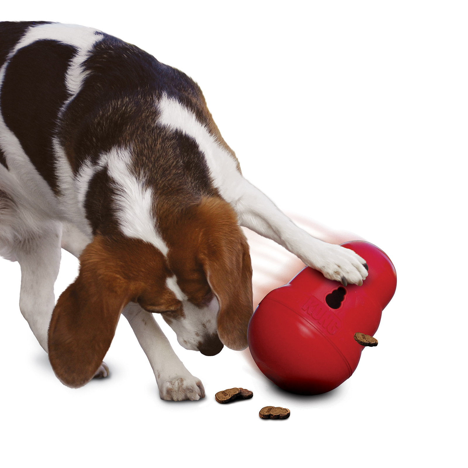 Kong dog treat toy best sale