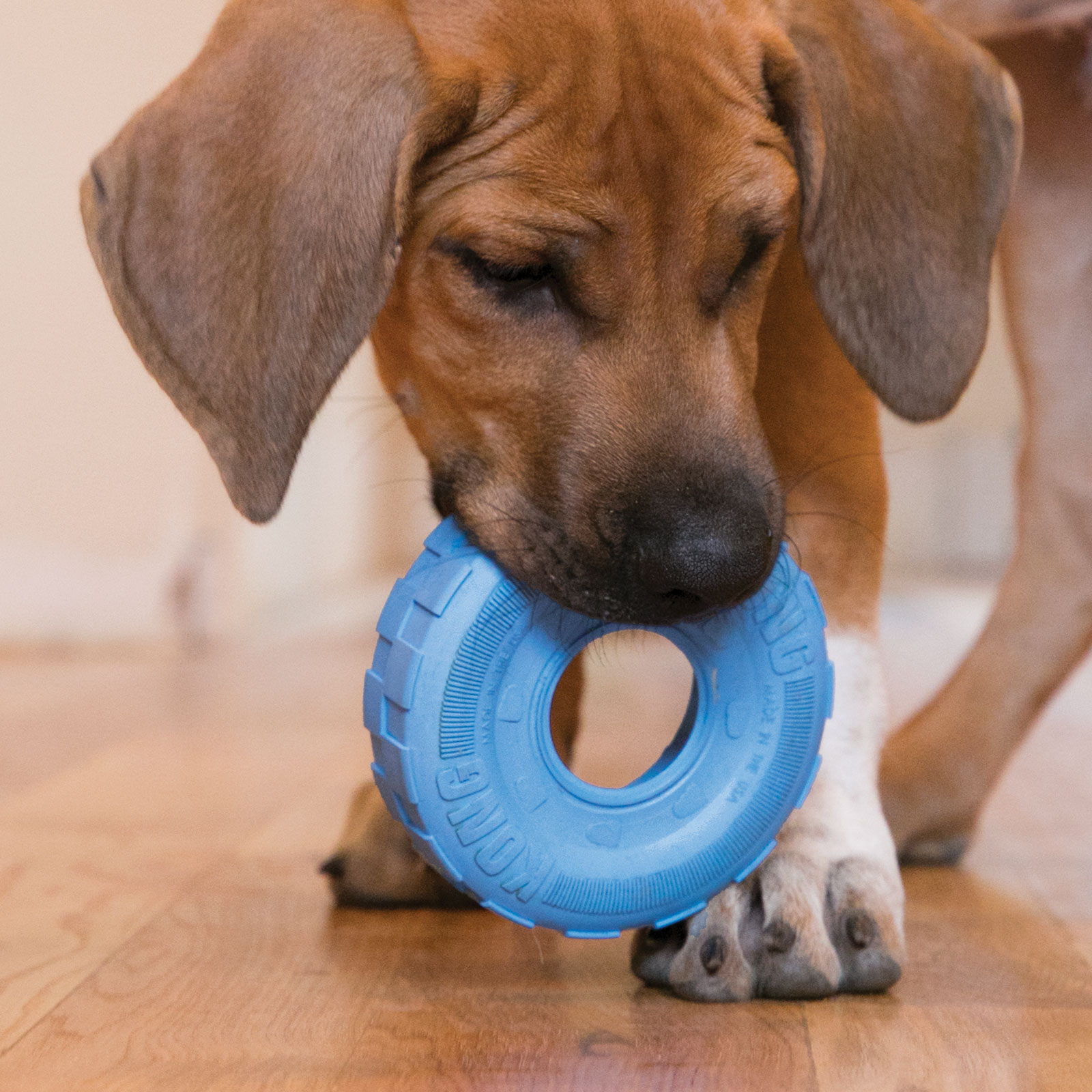 Kong clearance tyre toy