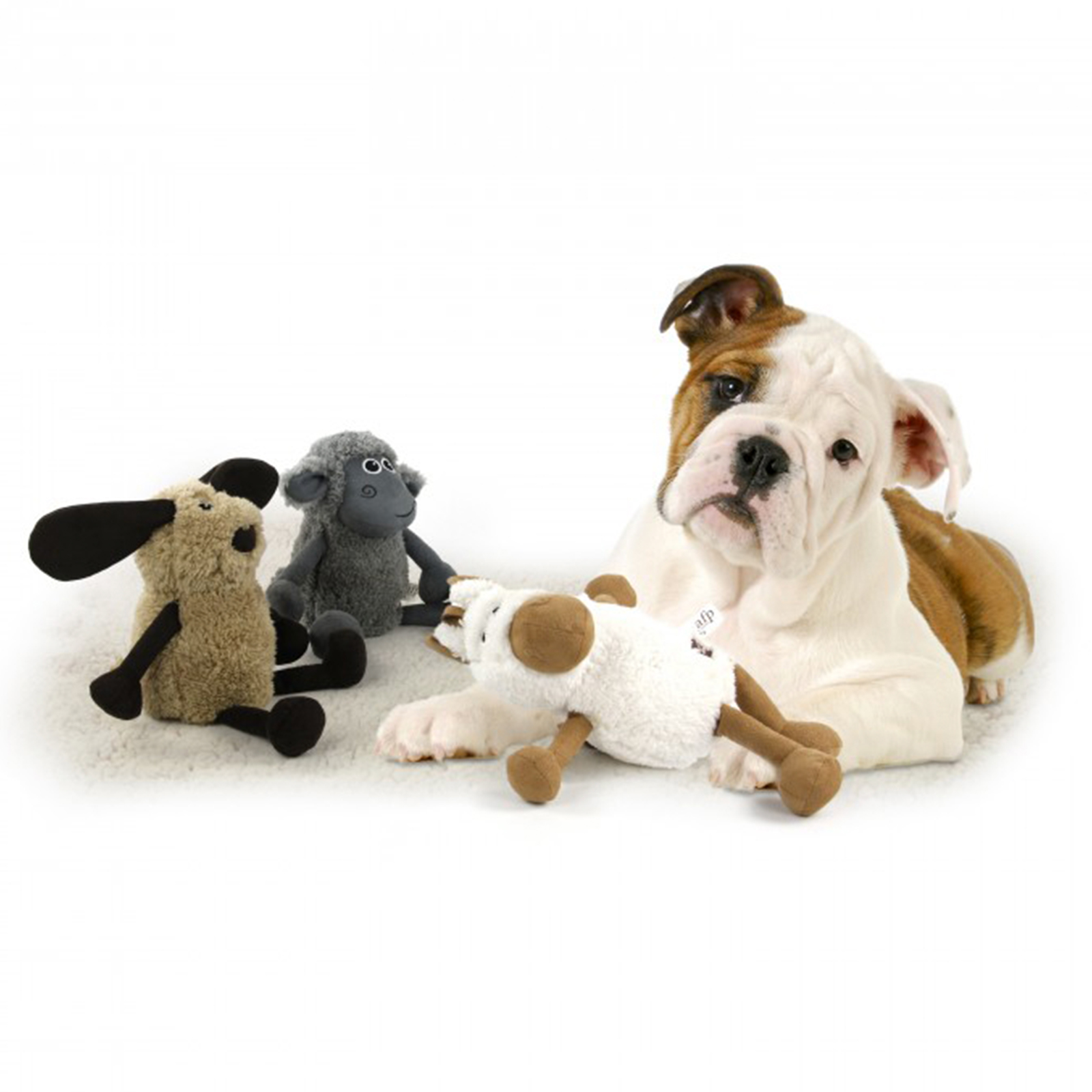 Afp 2024 dog toys