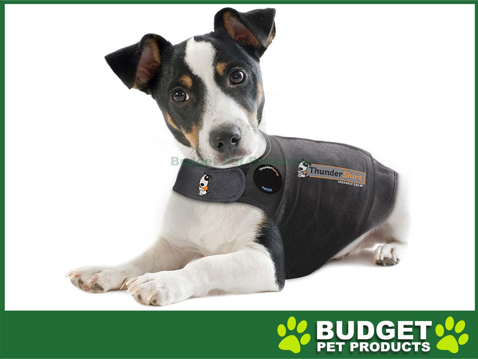 Pet supplies hotsell plus thundershirt