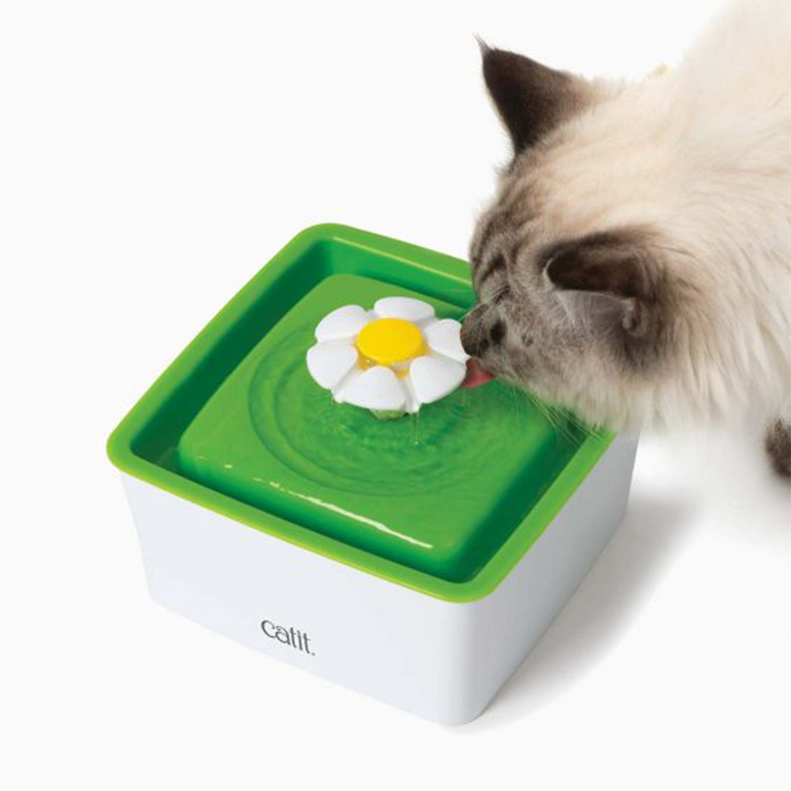 Senses cat 2025 water fountain