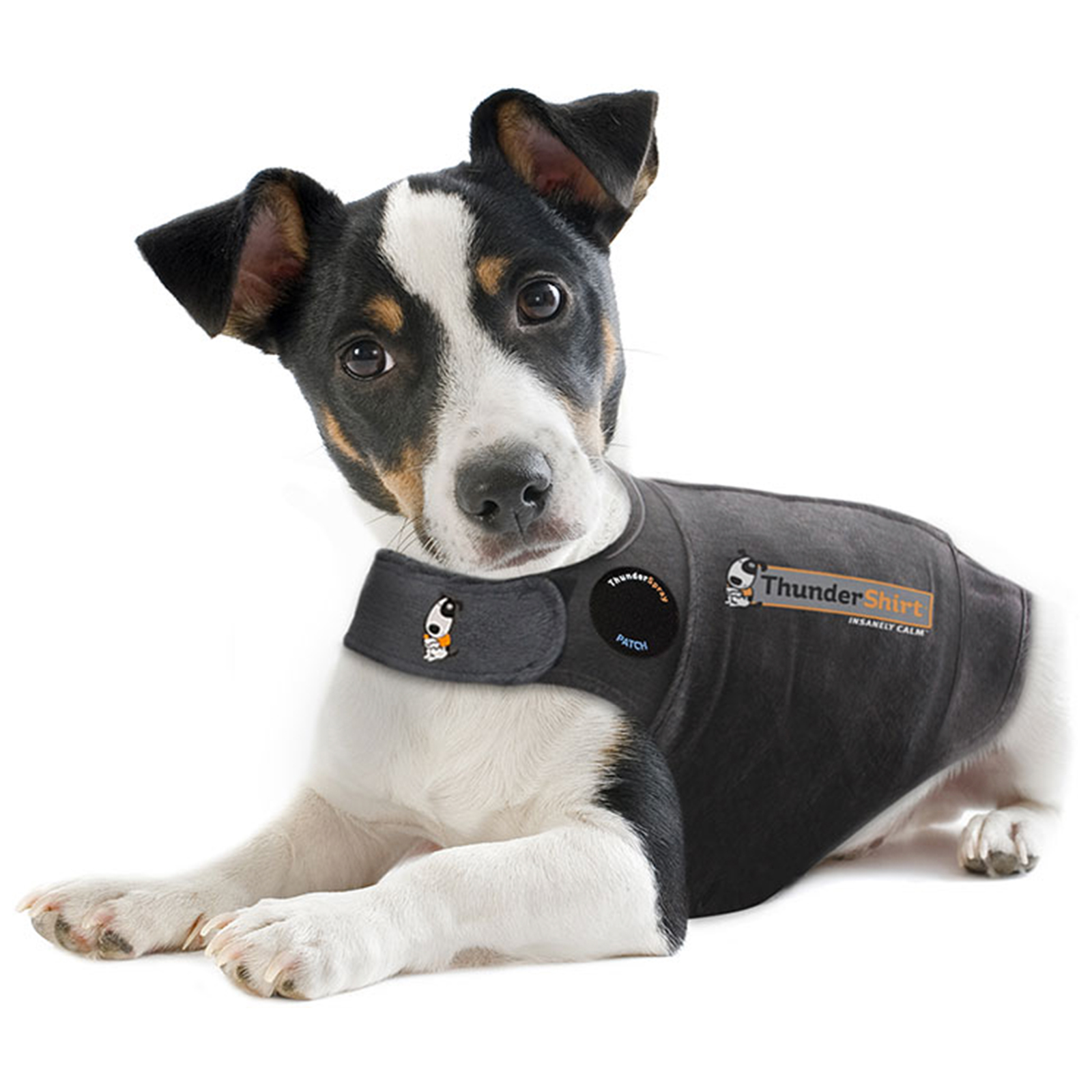 Pet supplies outlet plus thundershirt