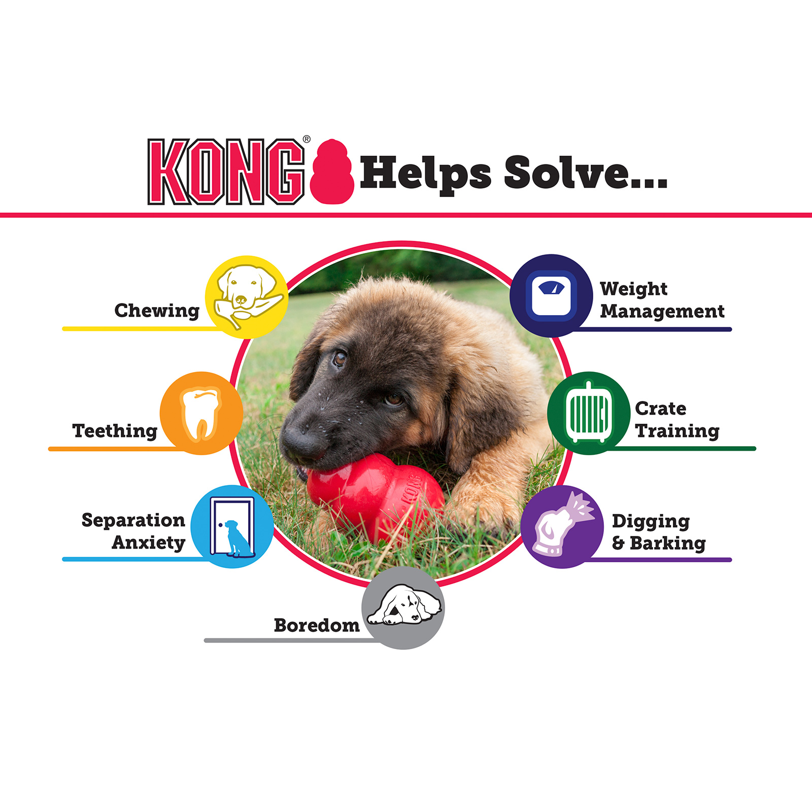 Medium puppy kong best sale