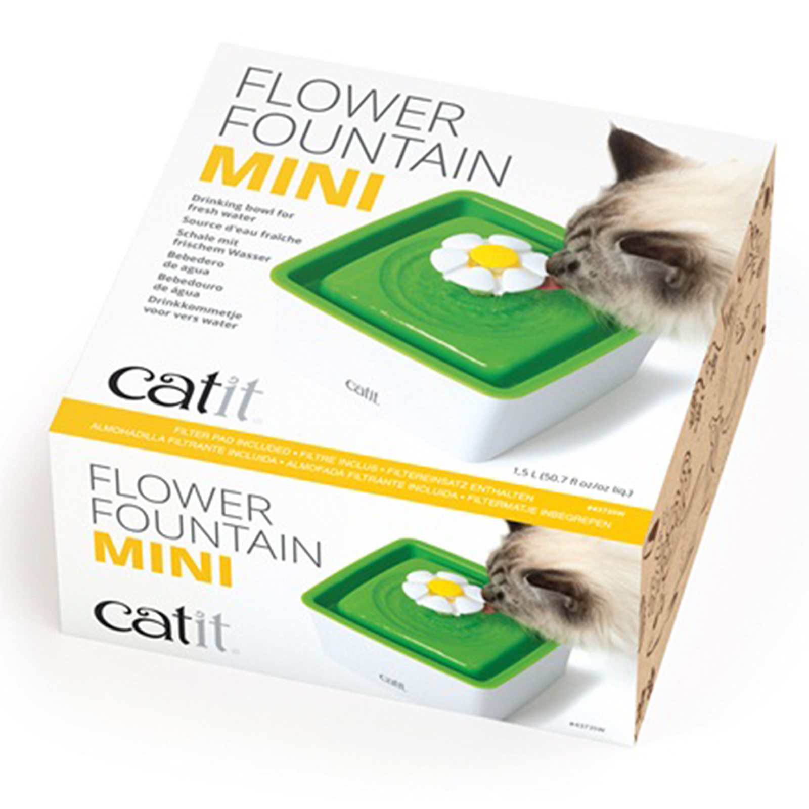 Cat 2024 flower fountain