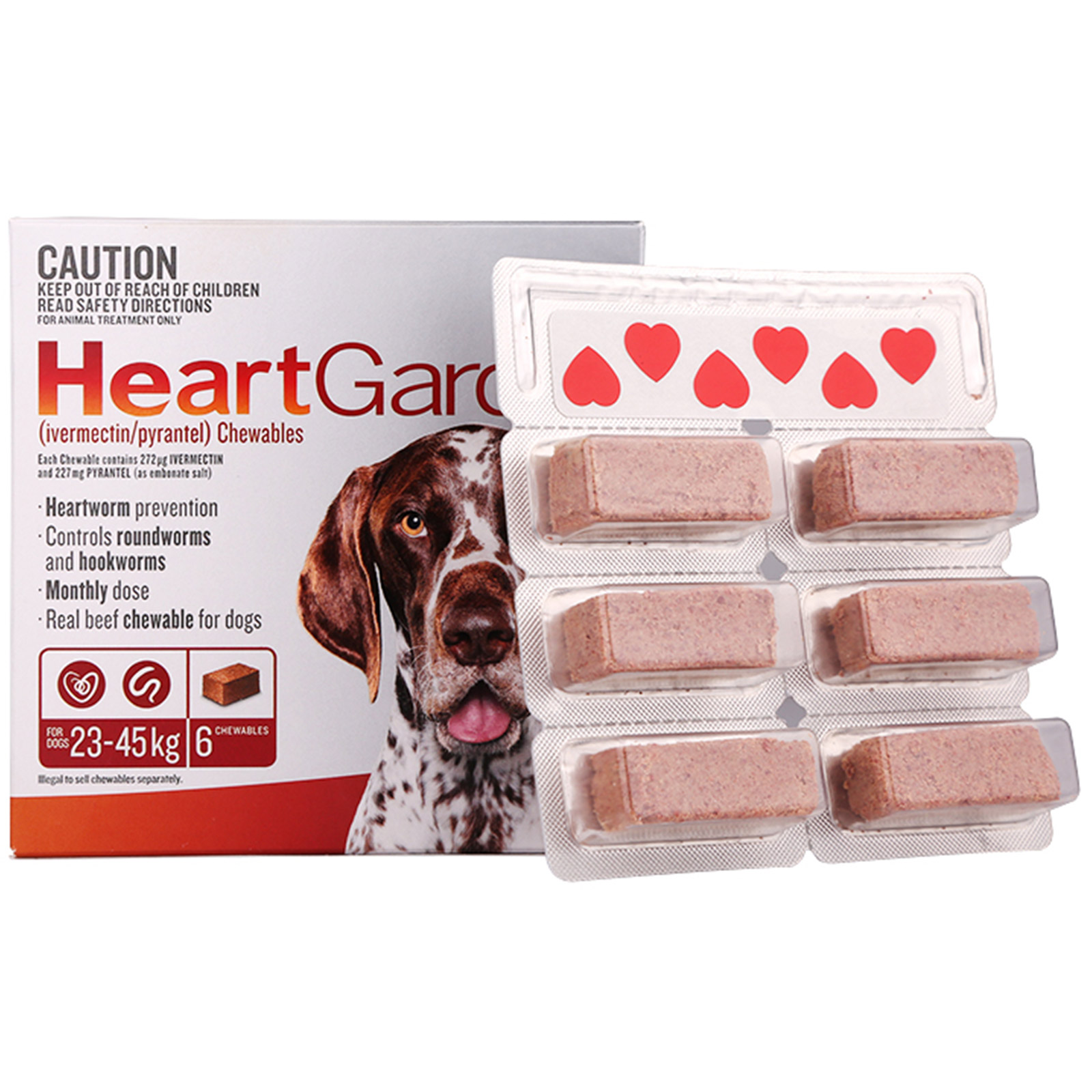 Large dog hot sale heartworm medicine