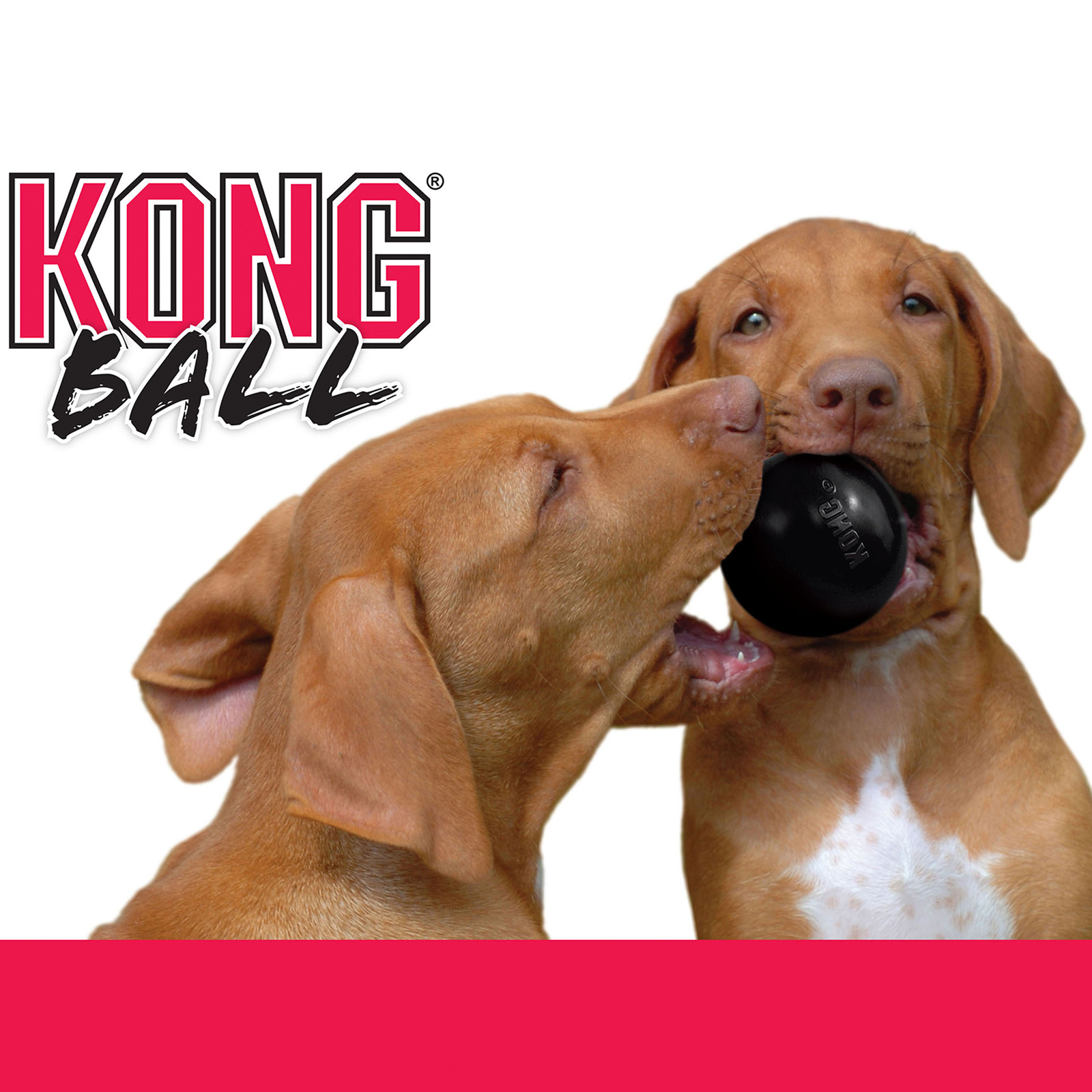 Kong extreme outlet ball dog toy