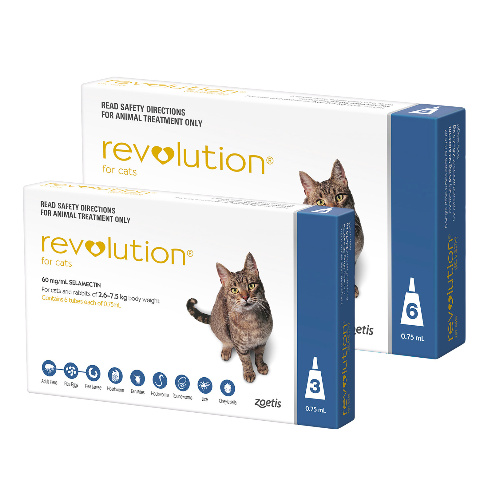 Revolution best sale feline blue