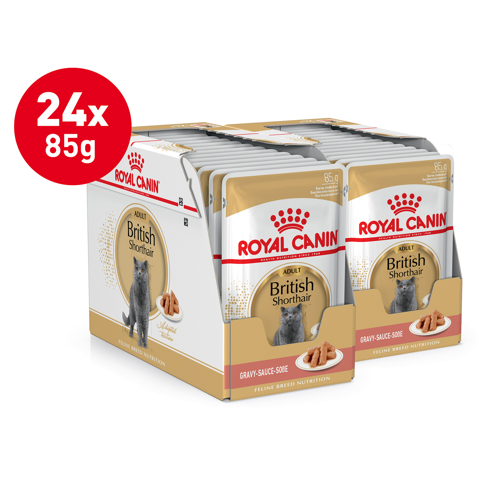 Royal fashion canin british shorthair wet food