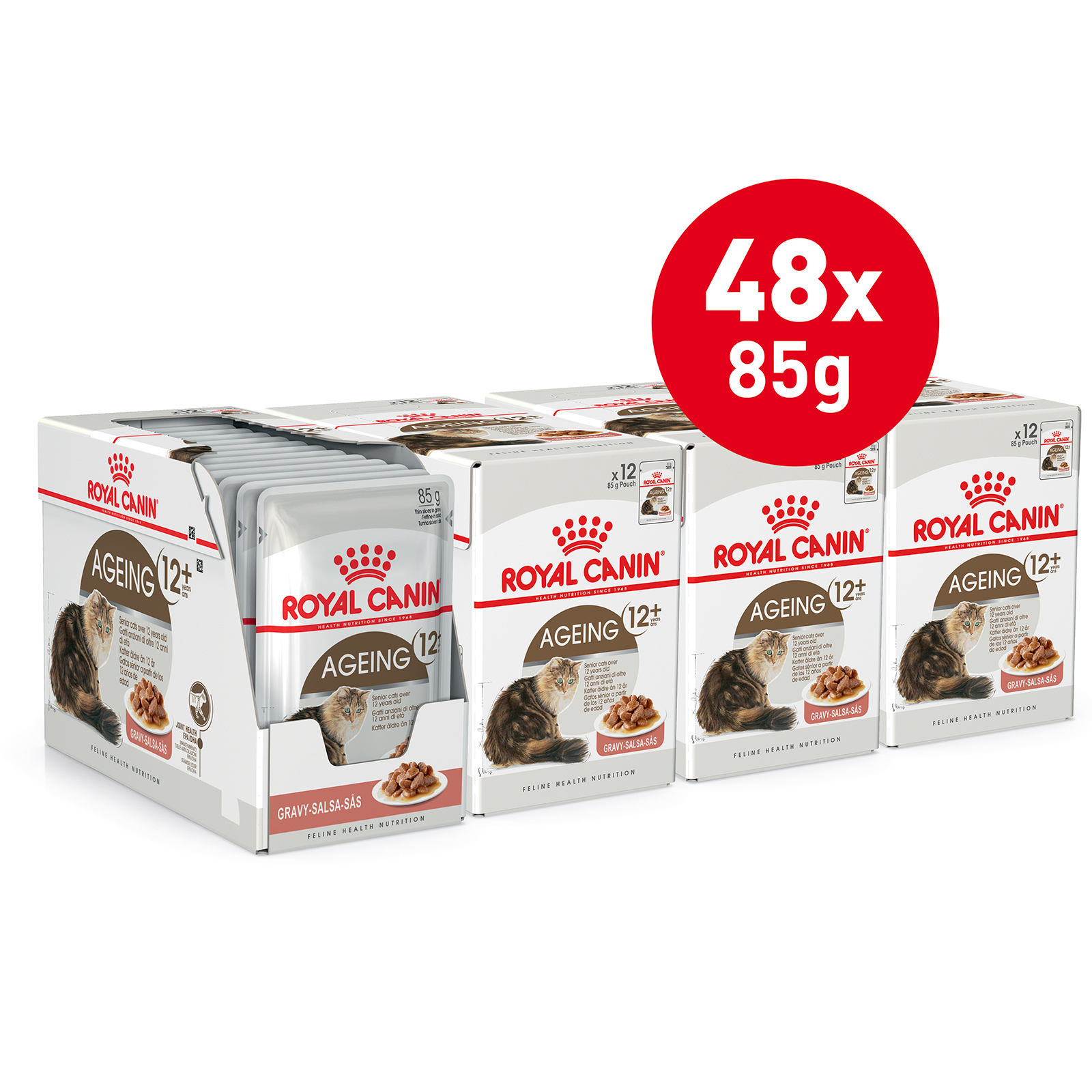  CANIN AGEING 12+ ウェット12個入り×3箱 ロイヤルカナン FHN-WET エイジング +12（中・高齢猫用