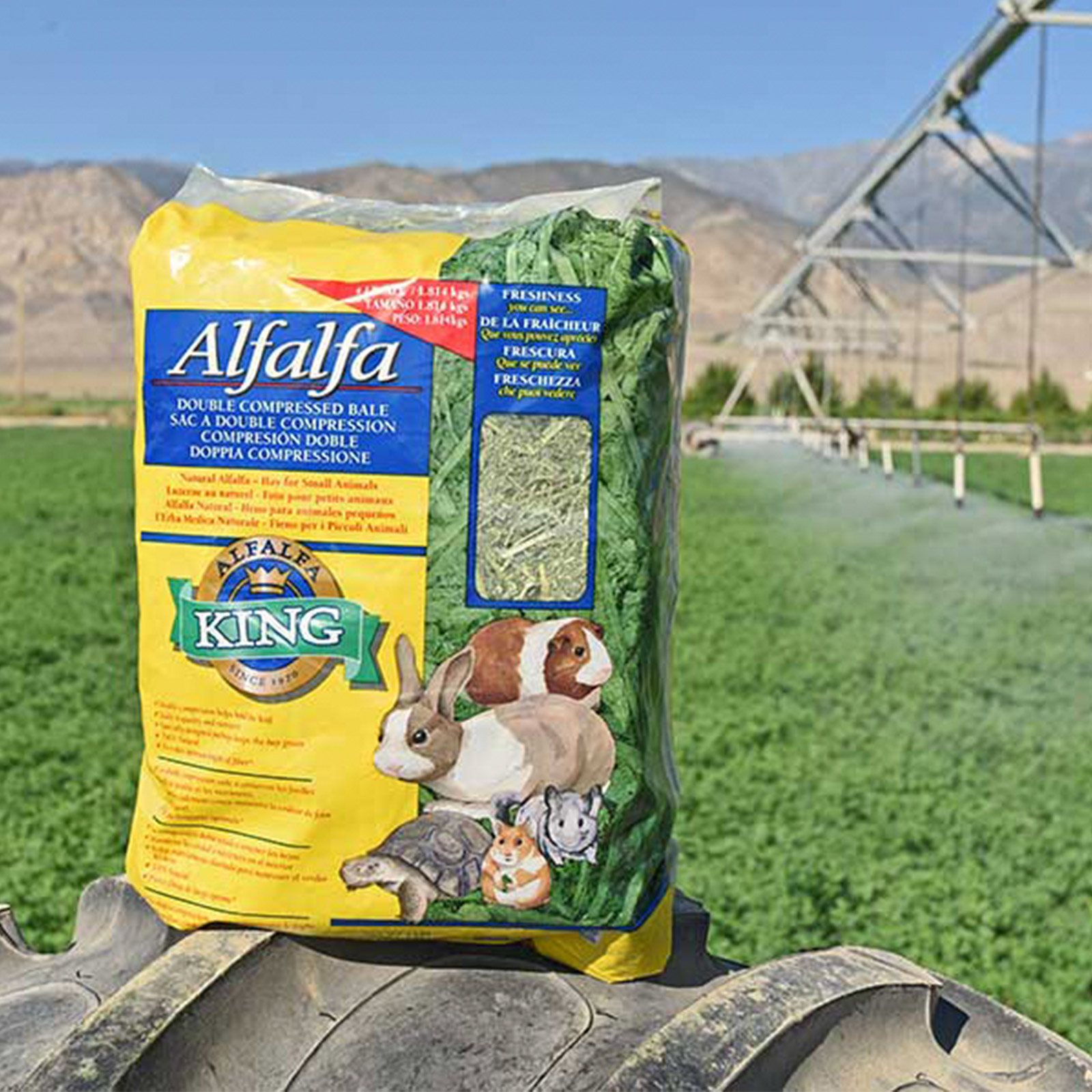 Alfalfa hay outlet pets at home