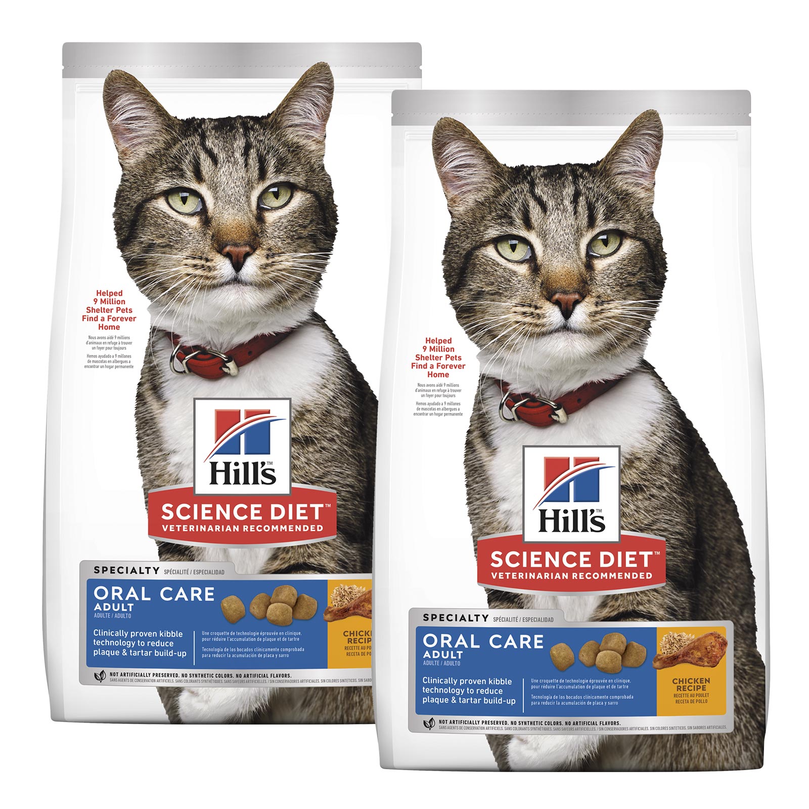 Hills Science Diet Oral Care Chicken Recipe Adult Dry Cat Food 8kg