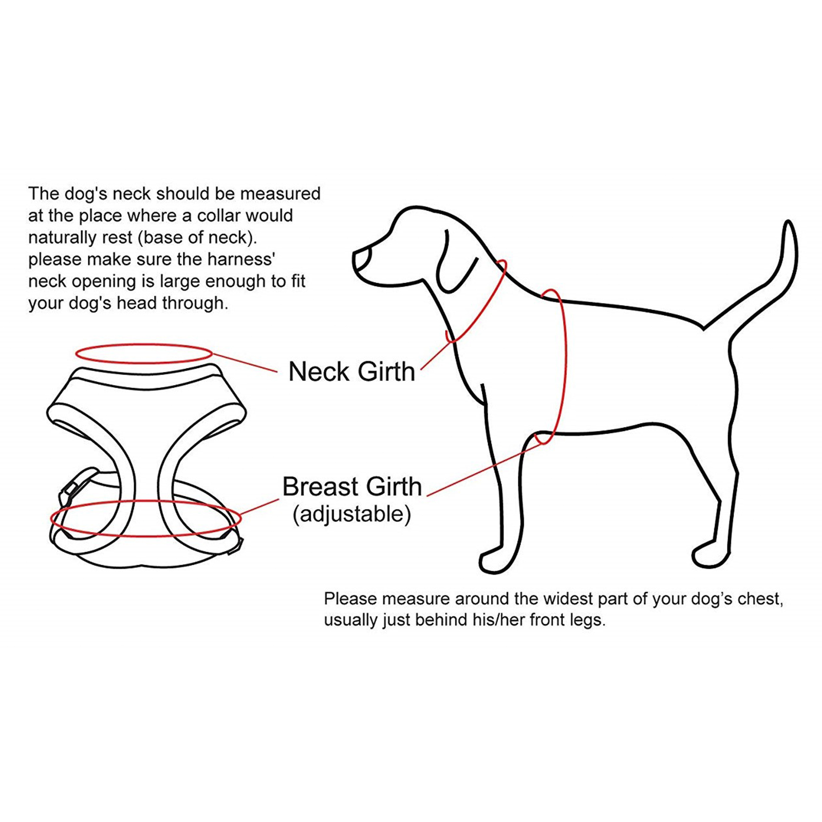 Truelove dog outlet harness size guide