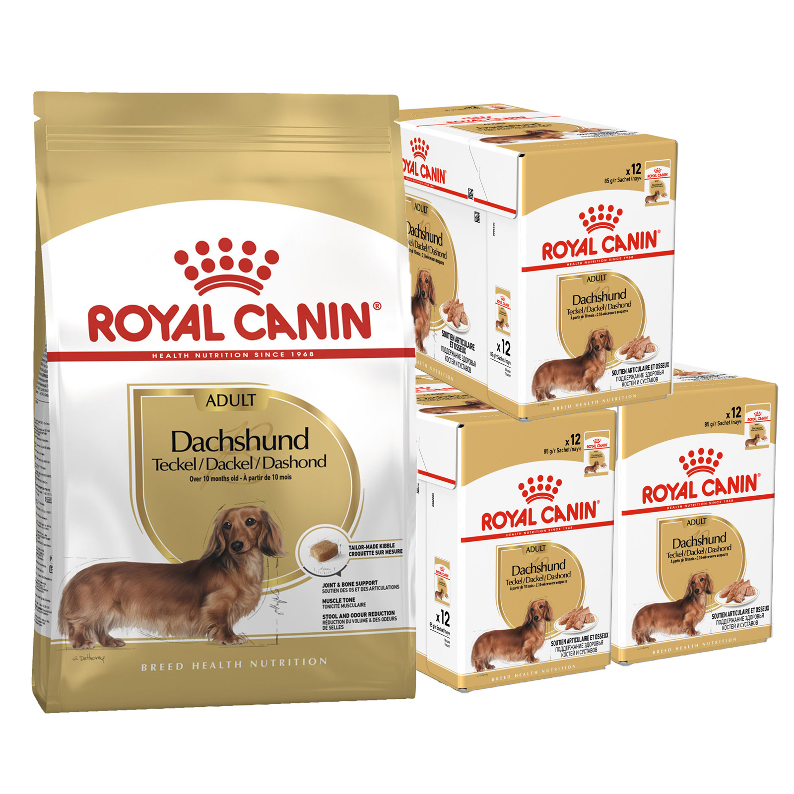Royal Canin Bundle Dachshund Adult Wet And Dry Dog Food 129.99
