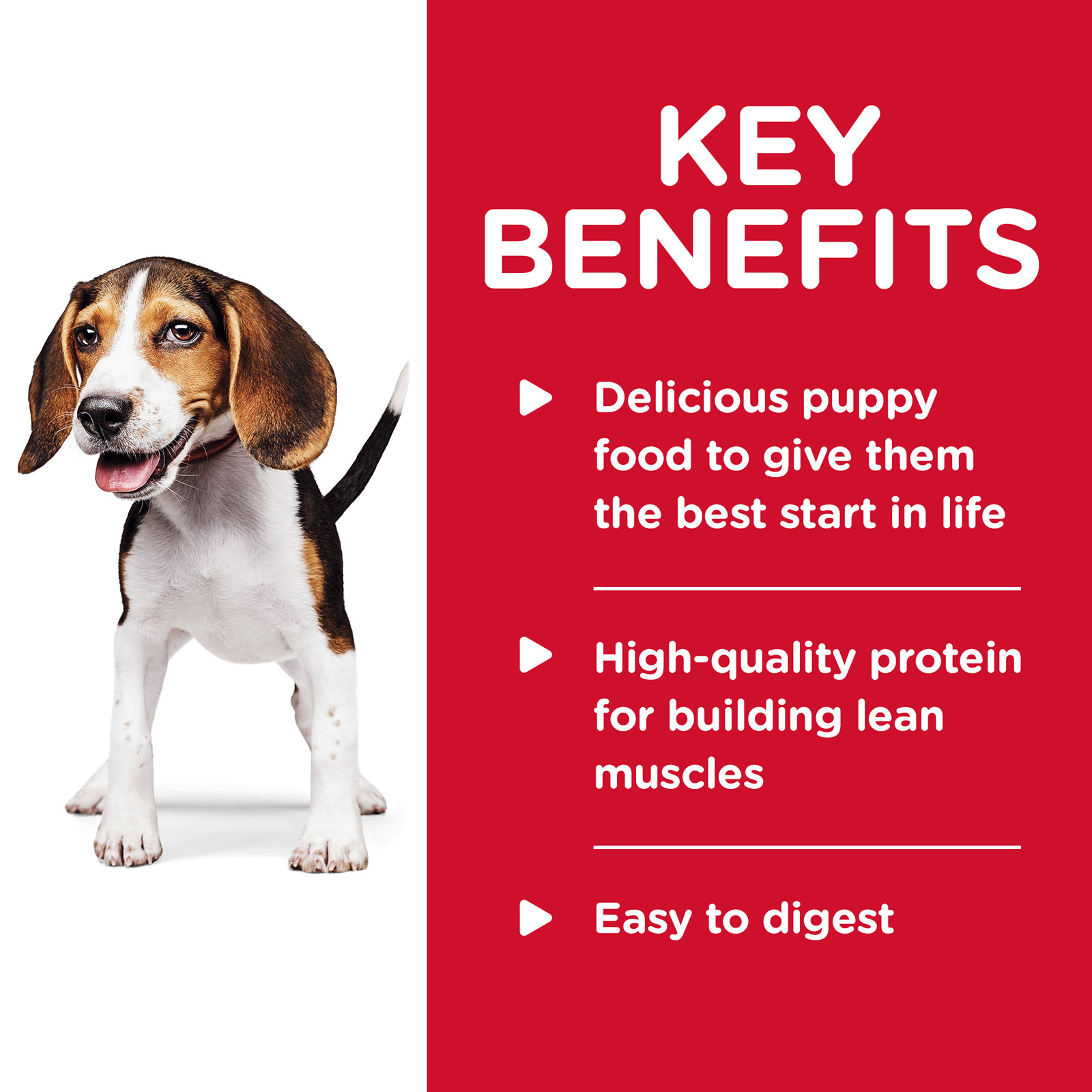 Hills puppy feeding sales chart