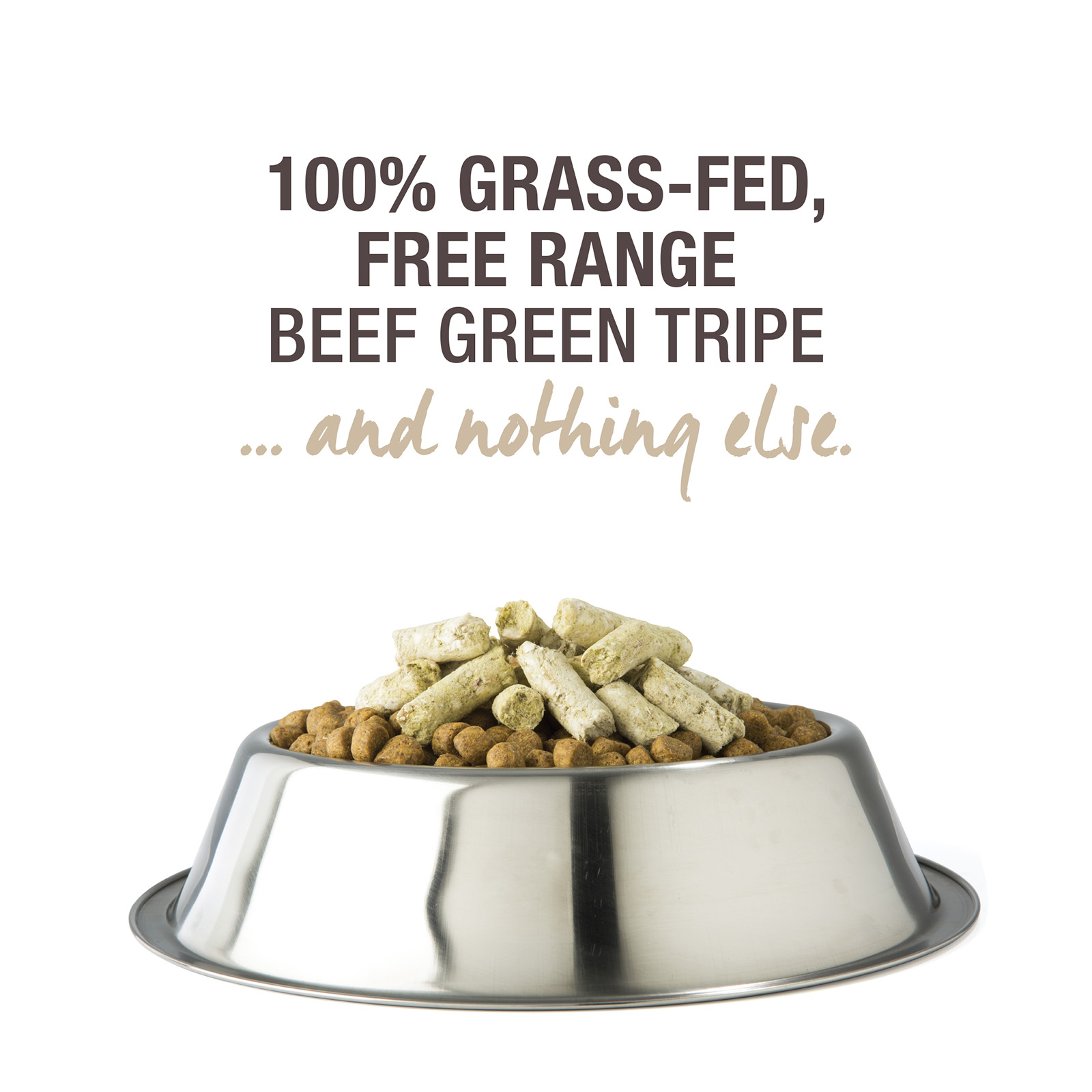 Freeze dried green tripe best sale for dogs