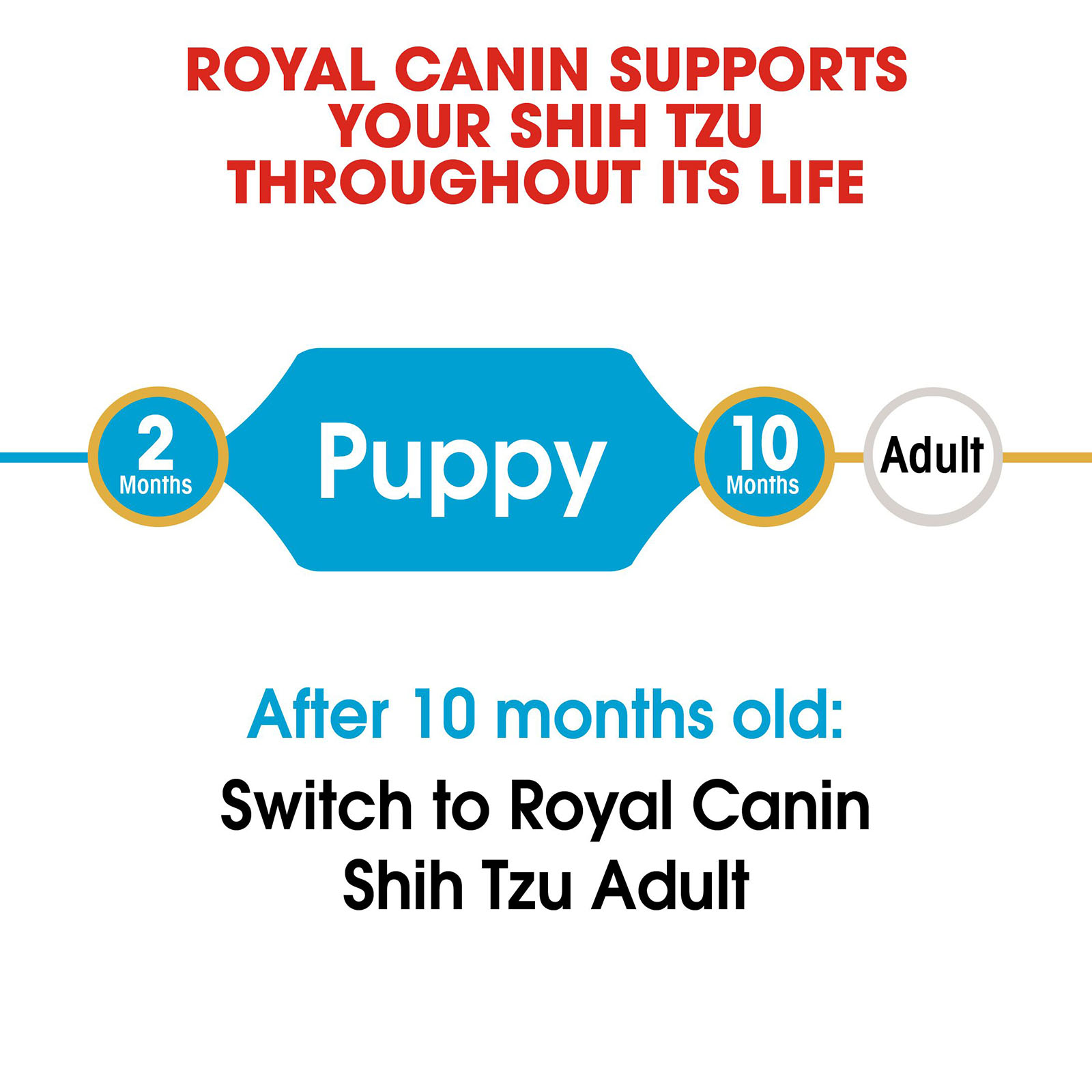 Royal canin sales shih tzu 24