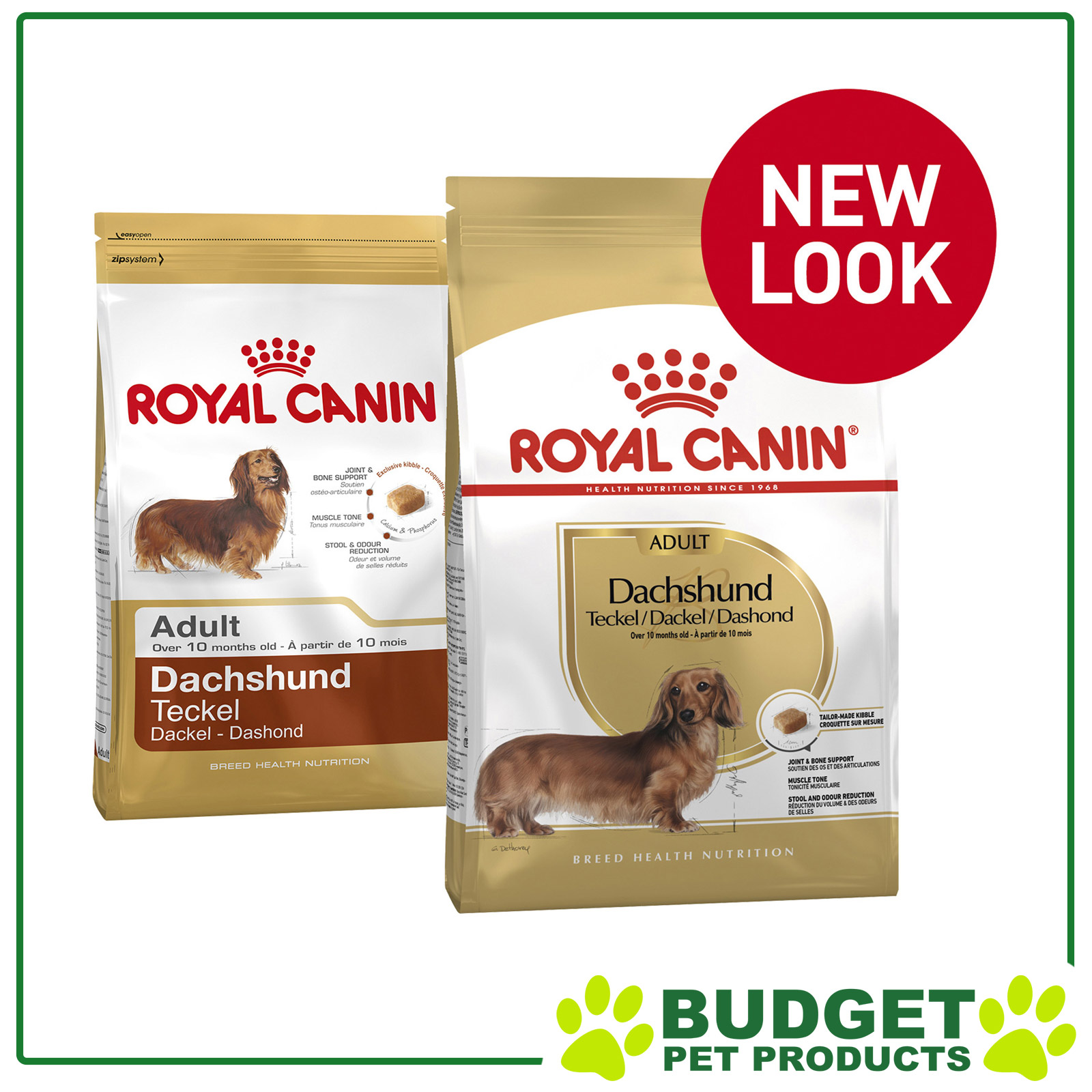 Dachshund best sale feeding guide