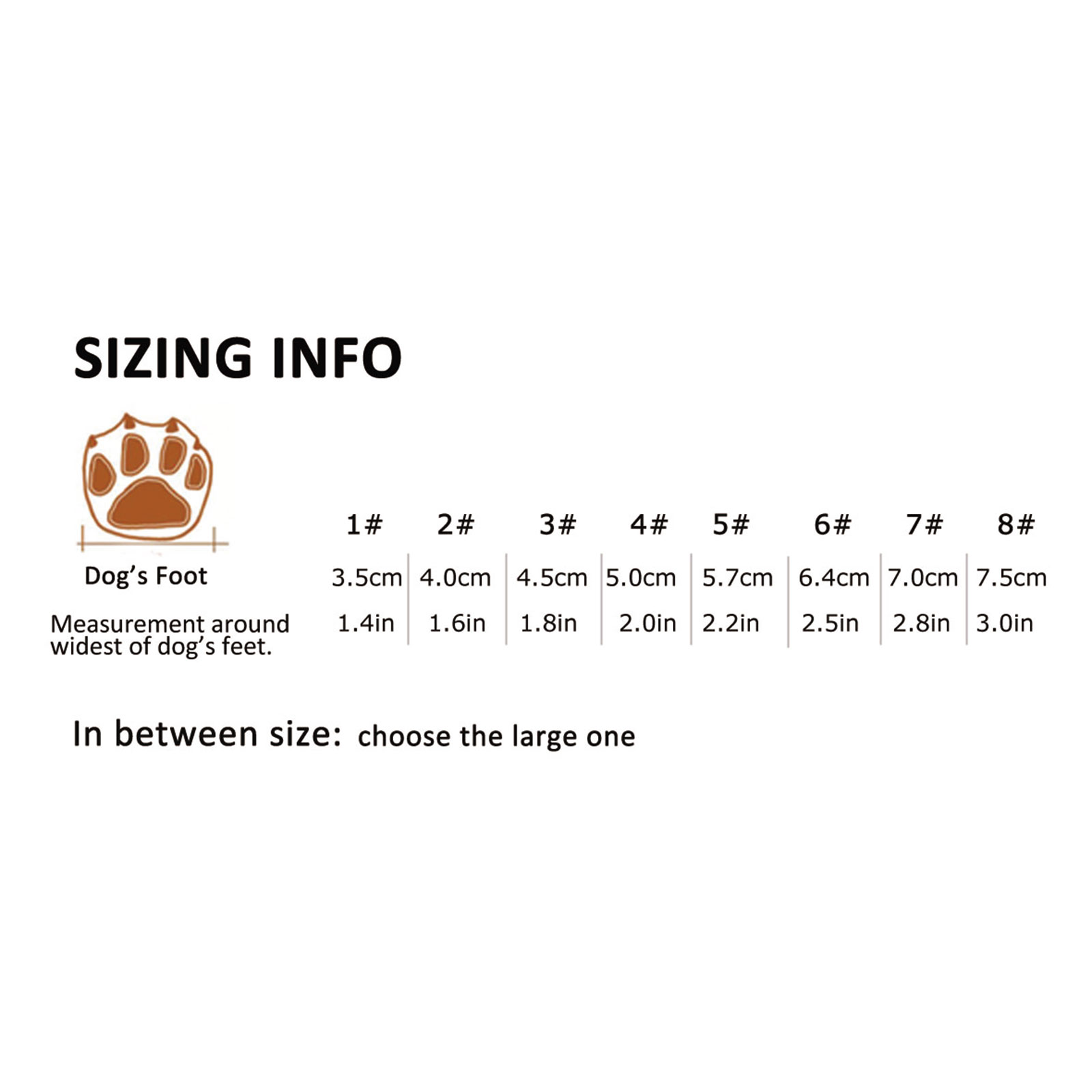 Dog on sale shoe sizes