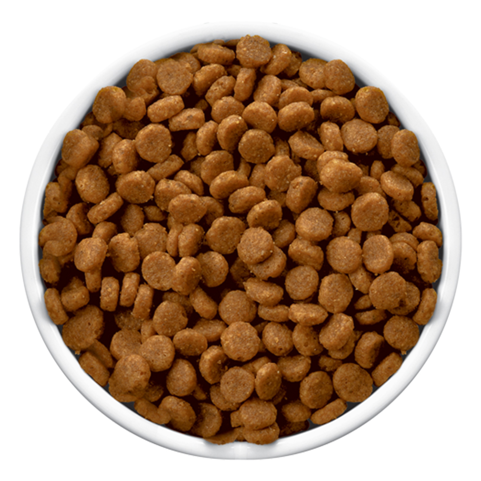 Hills cd dog food 12kg best sale