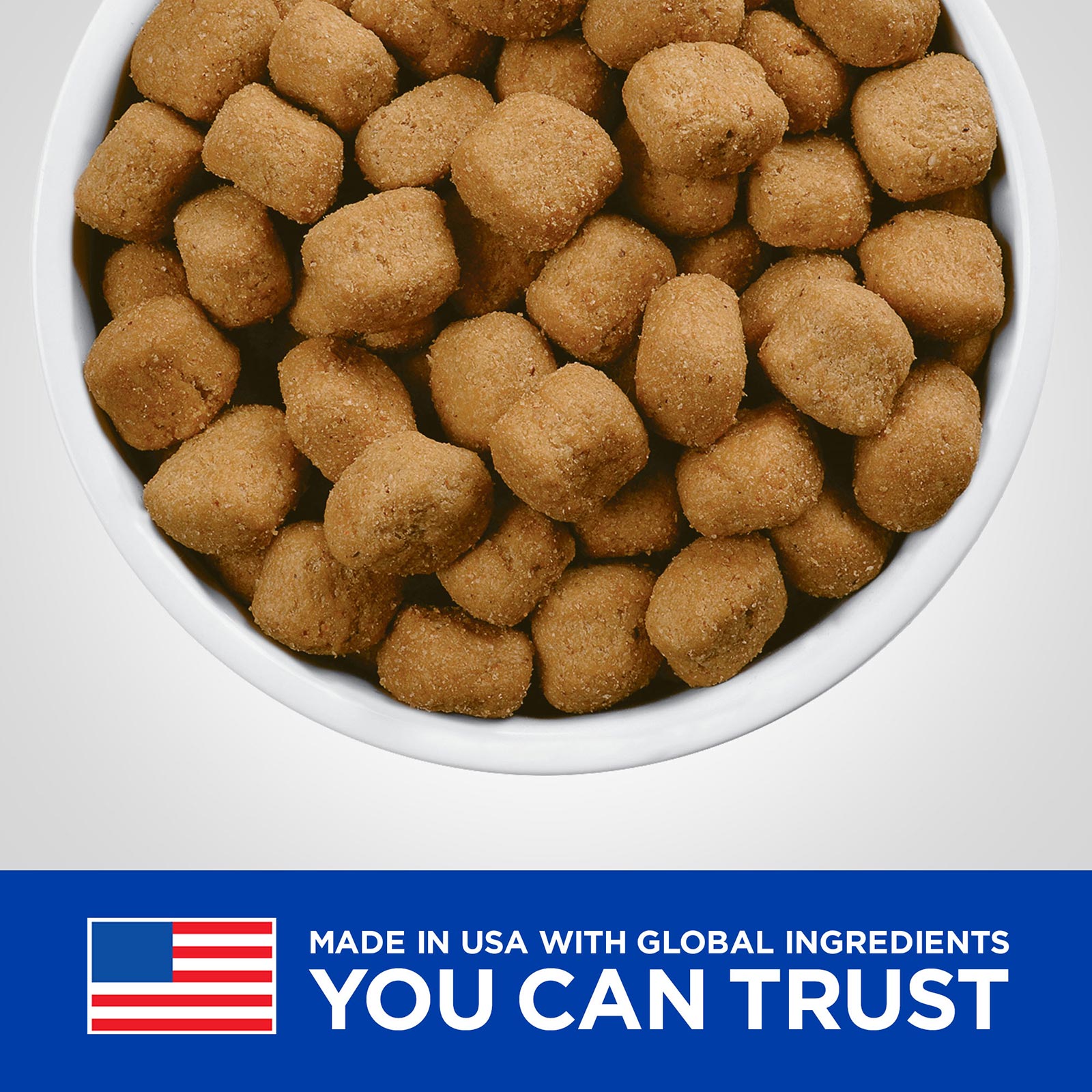 Td diet 2024 dog food