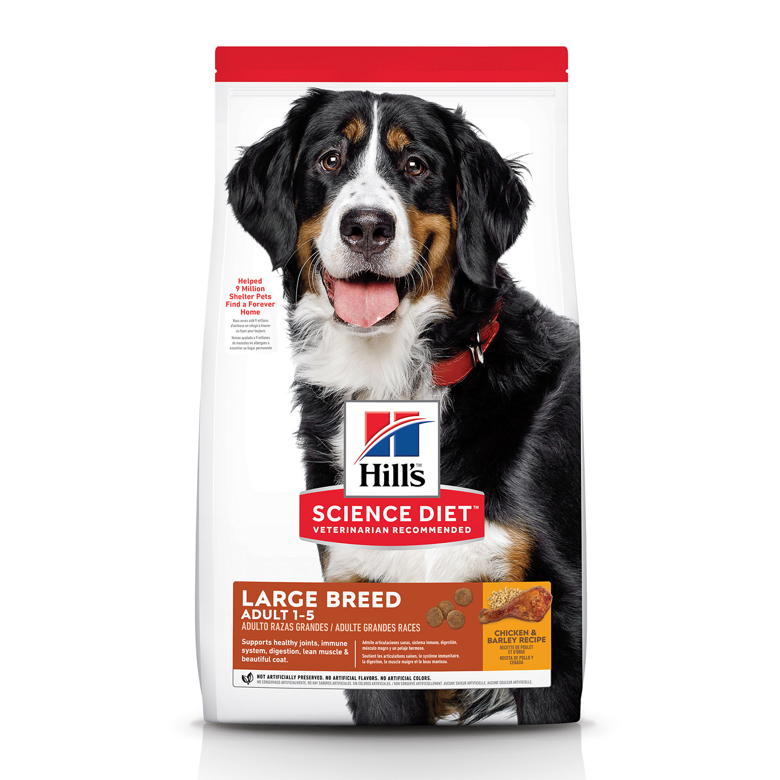 Supplements for hotsell large breed dogs