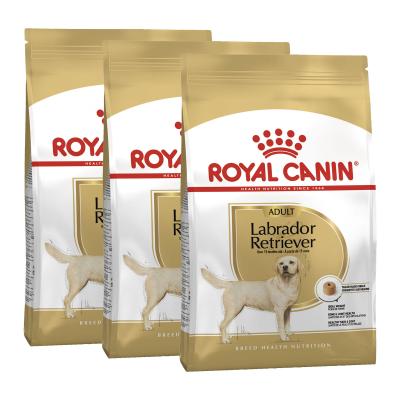 Royal canin on sale labrador retriever review