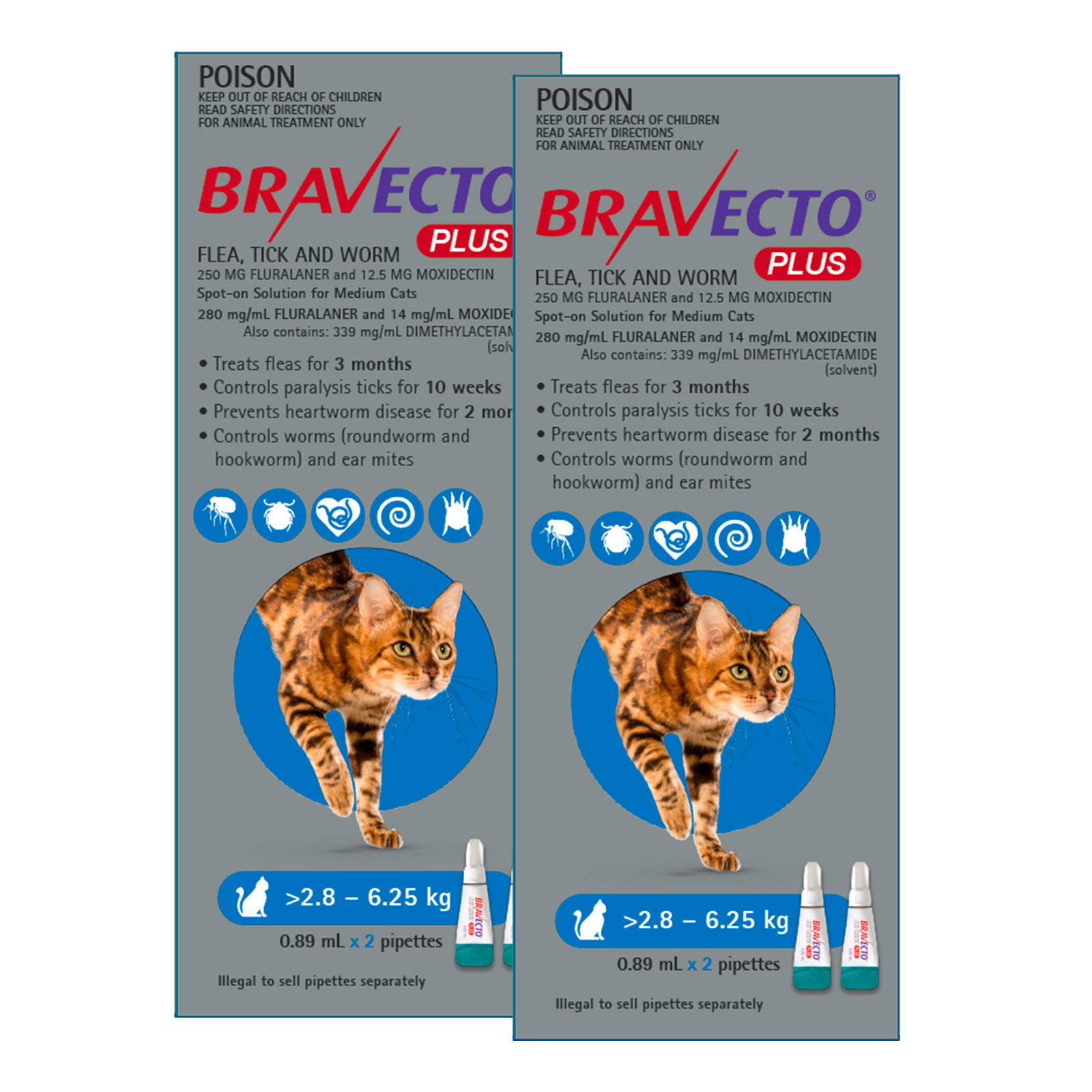 Bravecto cat hot sale sizes