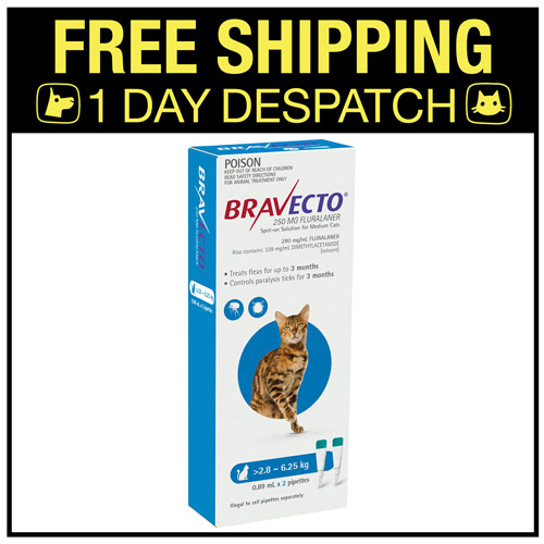 Bravecto cat hot sale blue