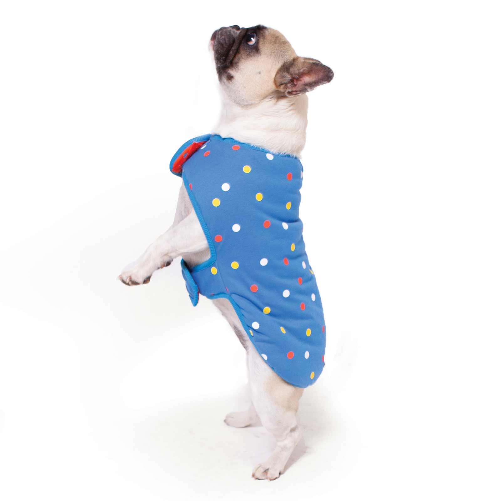 Kazoo best sale snuggle jacket