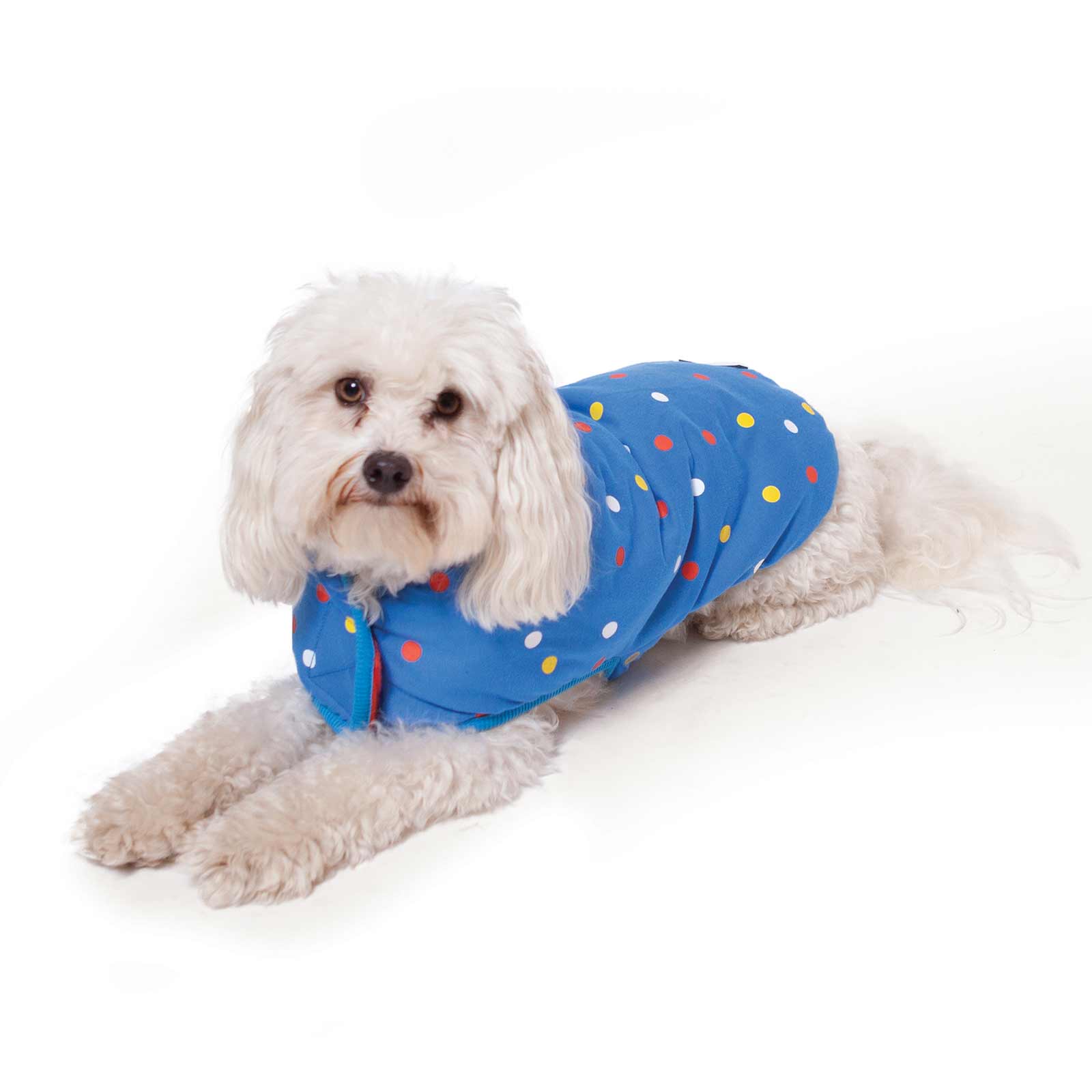 Kazoo shop snuggle jacket