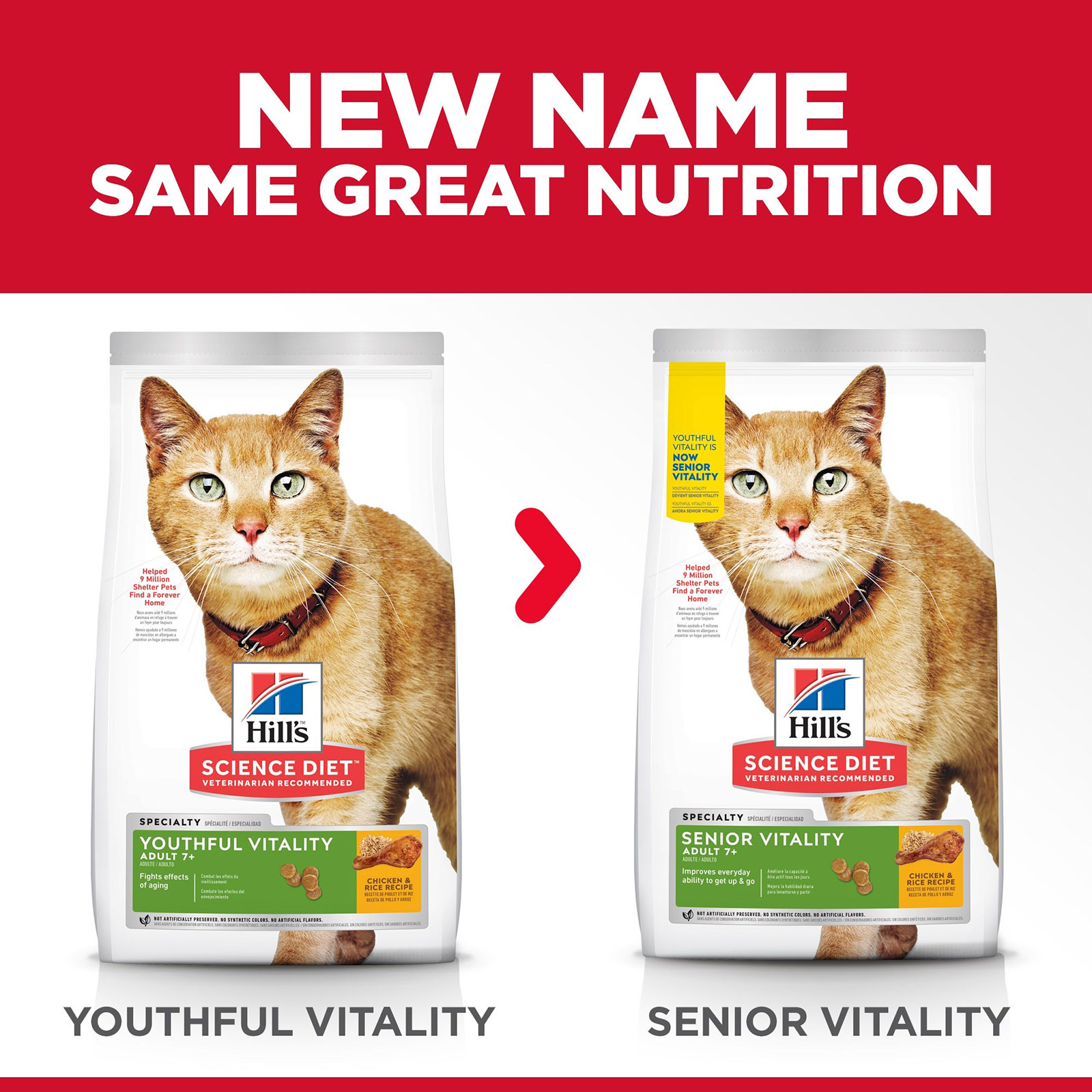 Hills Science Diet Youthful Senior Vitality Chicken And Rice 7 Mature Senior Dry Cat Food 5.44kg 124.12