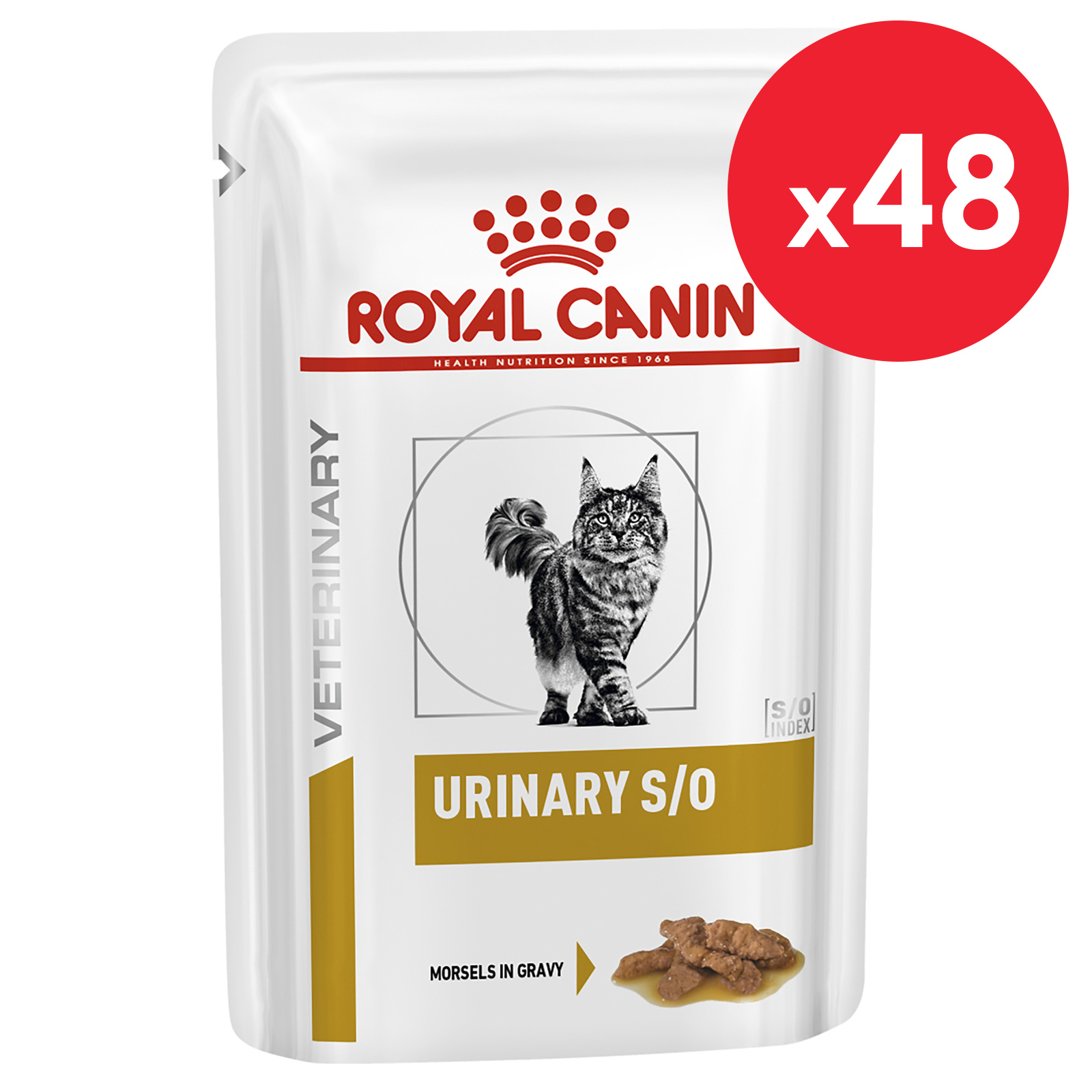 Play circuit royal on sale canin