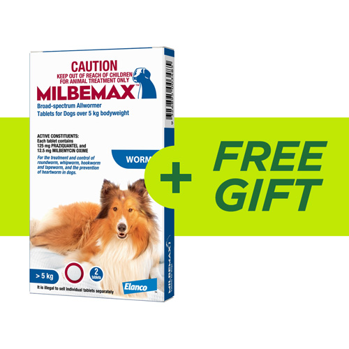 Milbemax allwormer outlet