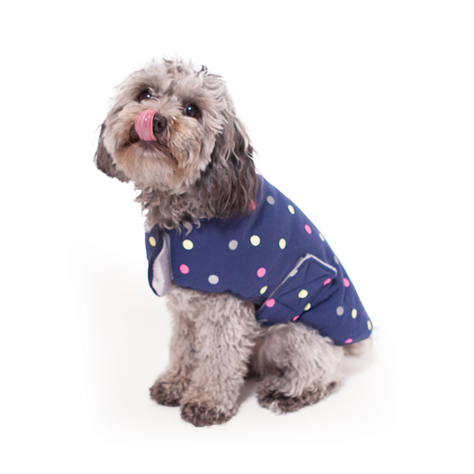 Kazoo Sprinkles Snuggie Winter Dog Coat Original Polkadot Medium