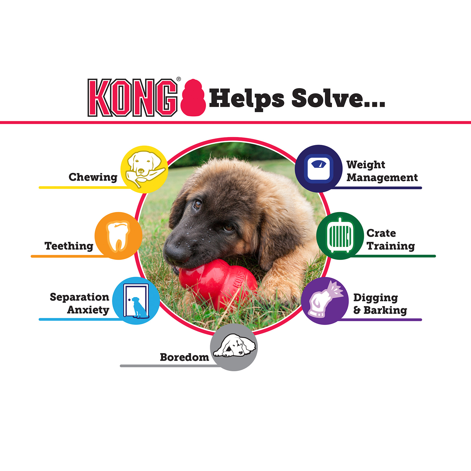 Kong for senior dogs hotsell