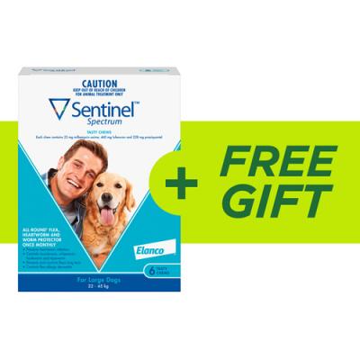 Sentinel Spectrum For Dogs Flea Tick and Worm Budget Pet Products