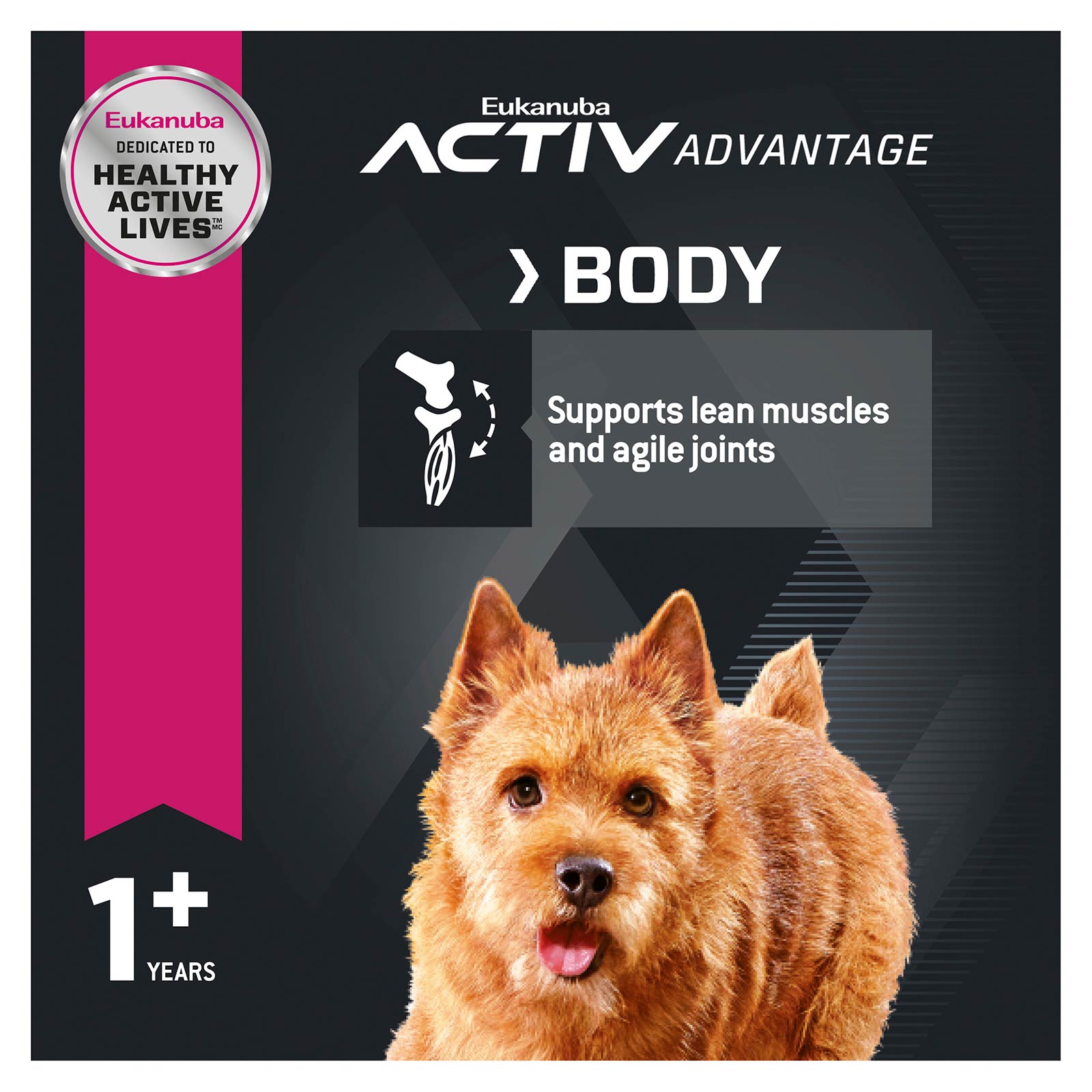 Eukanuba small 2024 breed adult