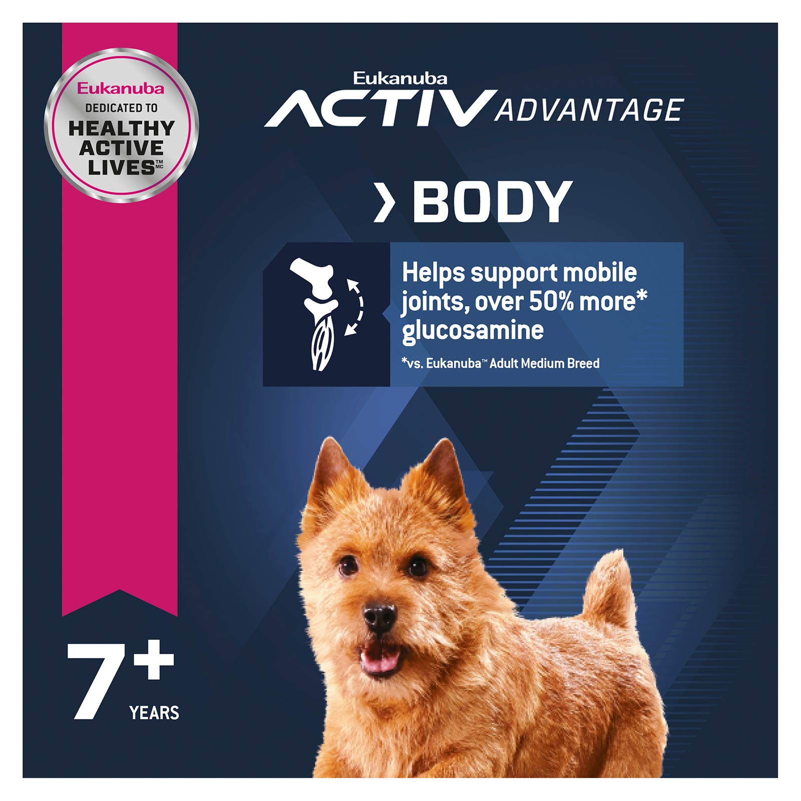 Eukanuba active adult small breed best sale