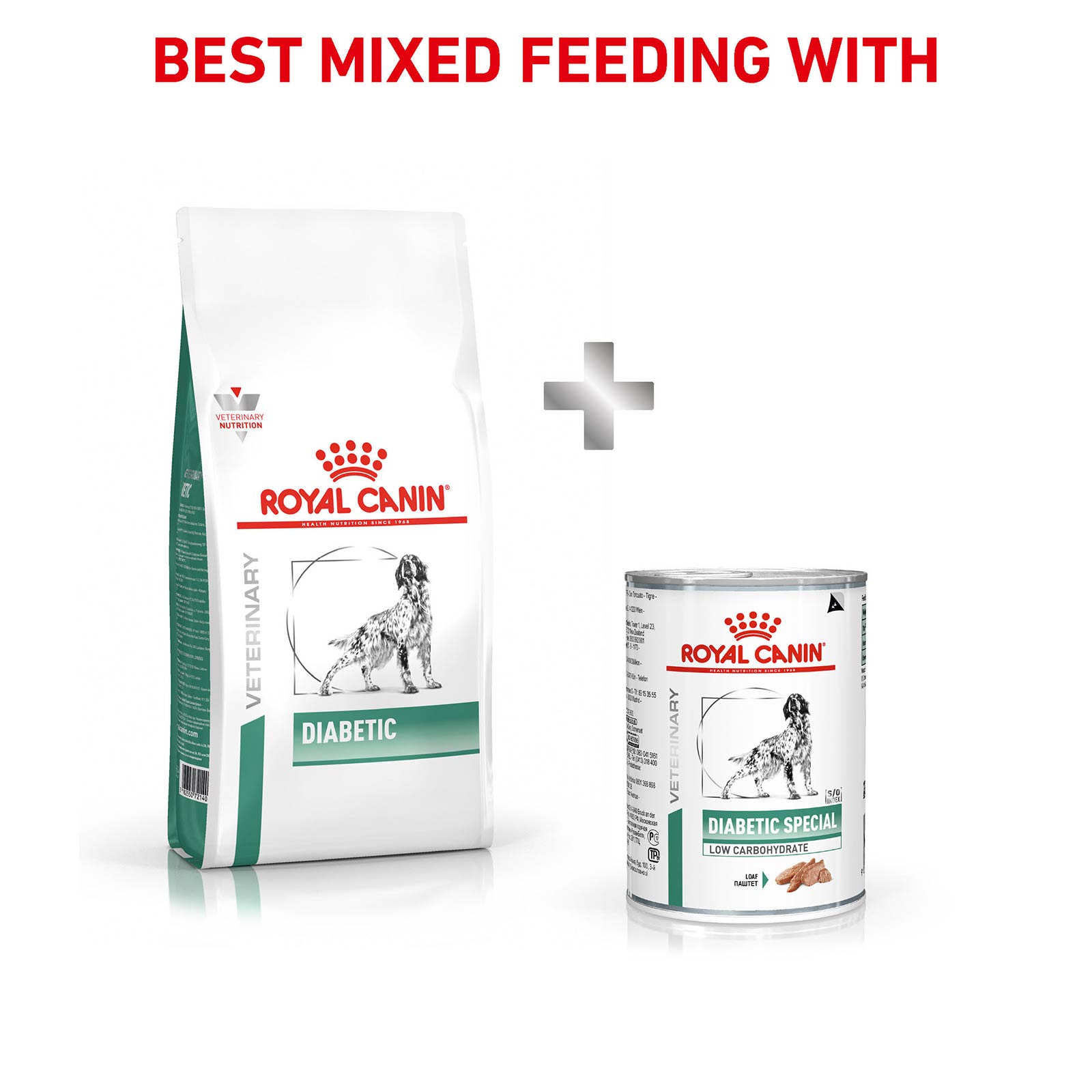 Wet diabetic cheap dog food