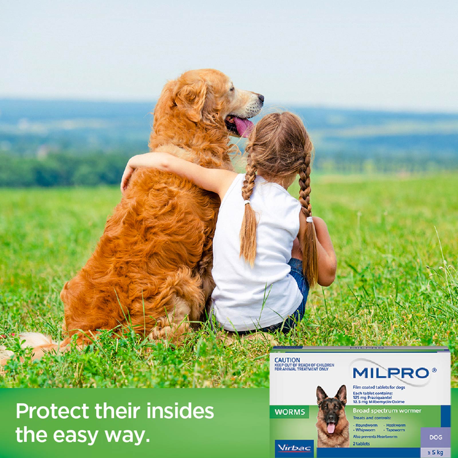 milpro dog worming tablets
