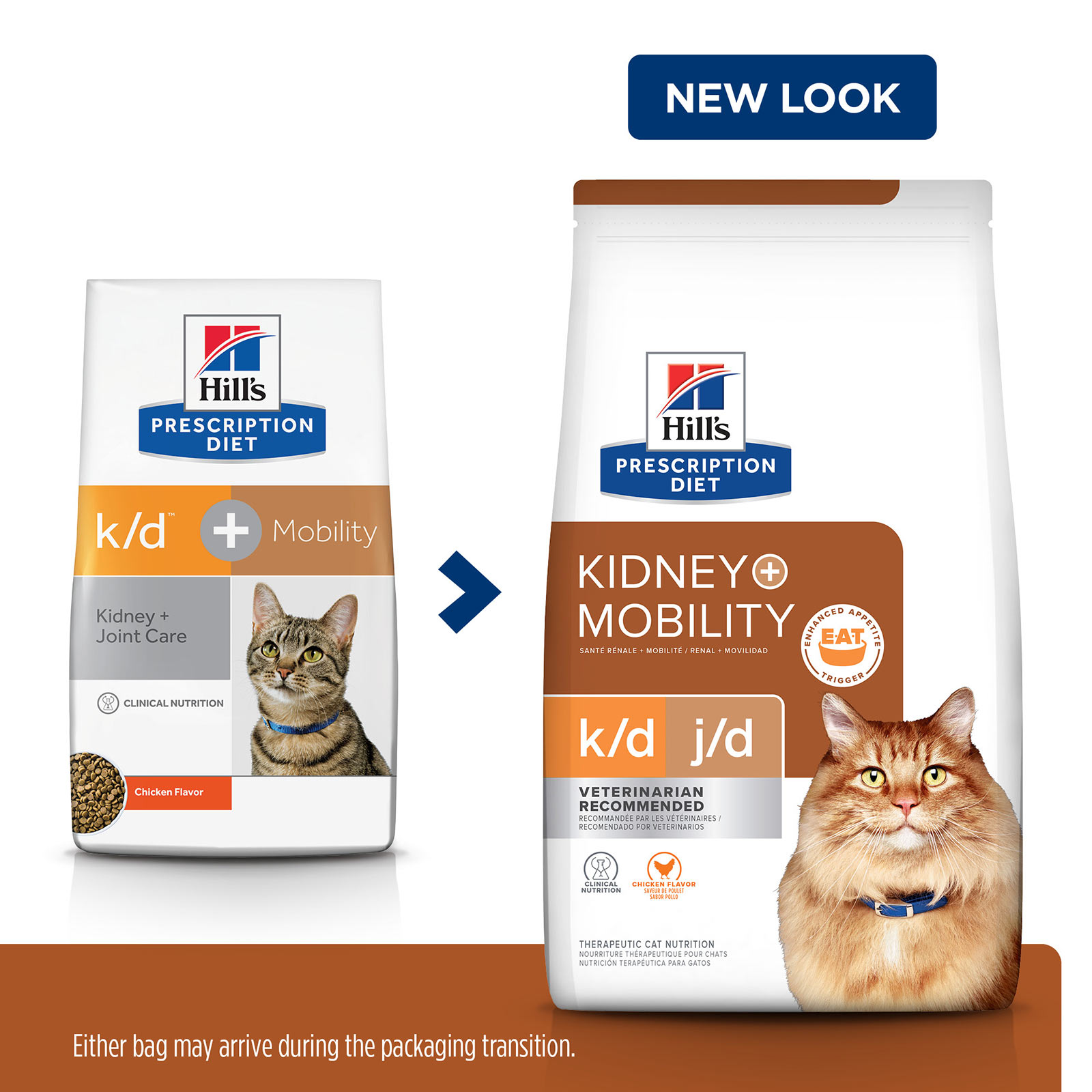 Science diet cat food for discount kidney disease