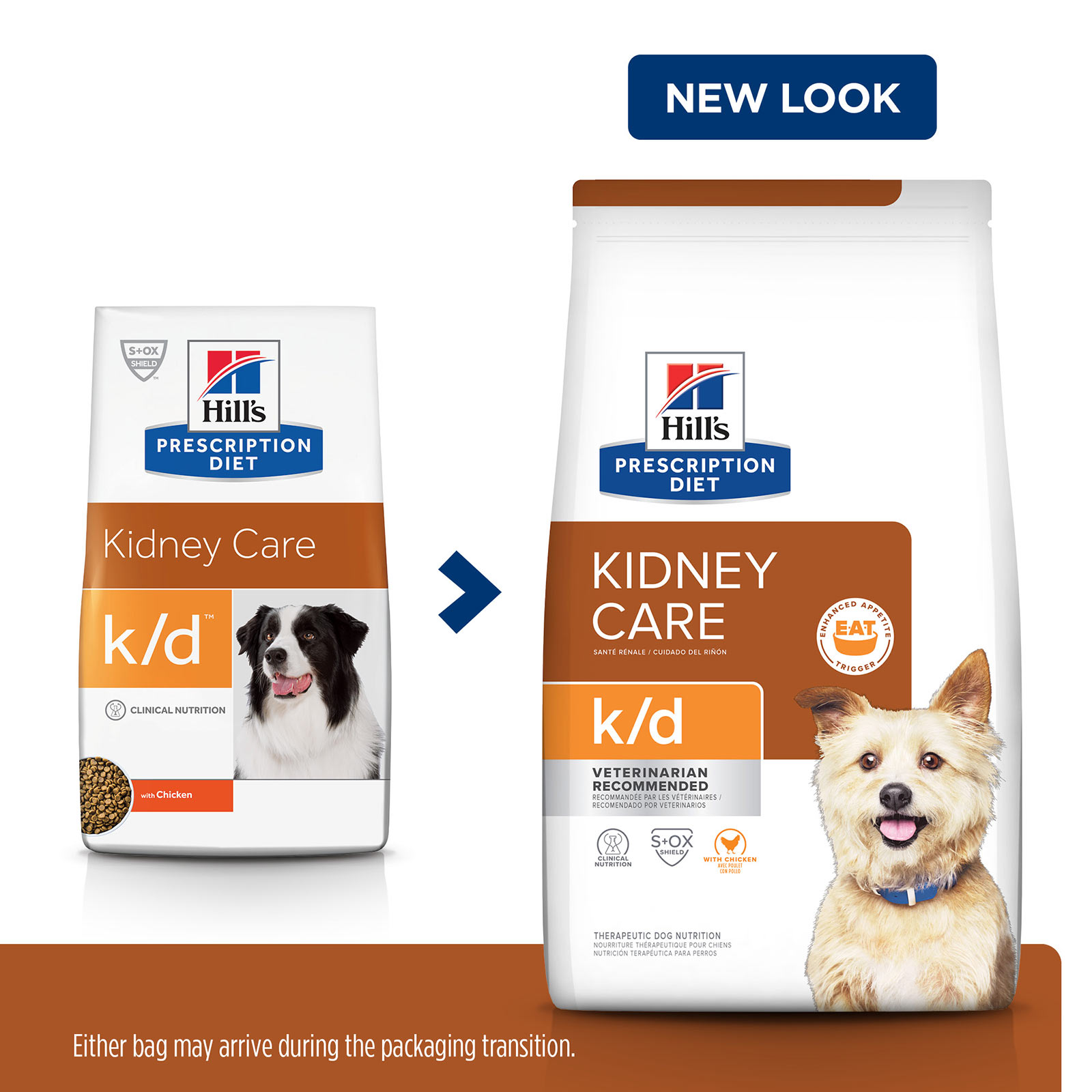 Hills kd clearance dog food 12kg