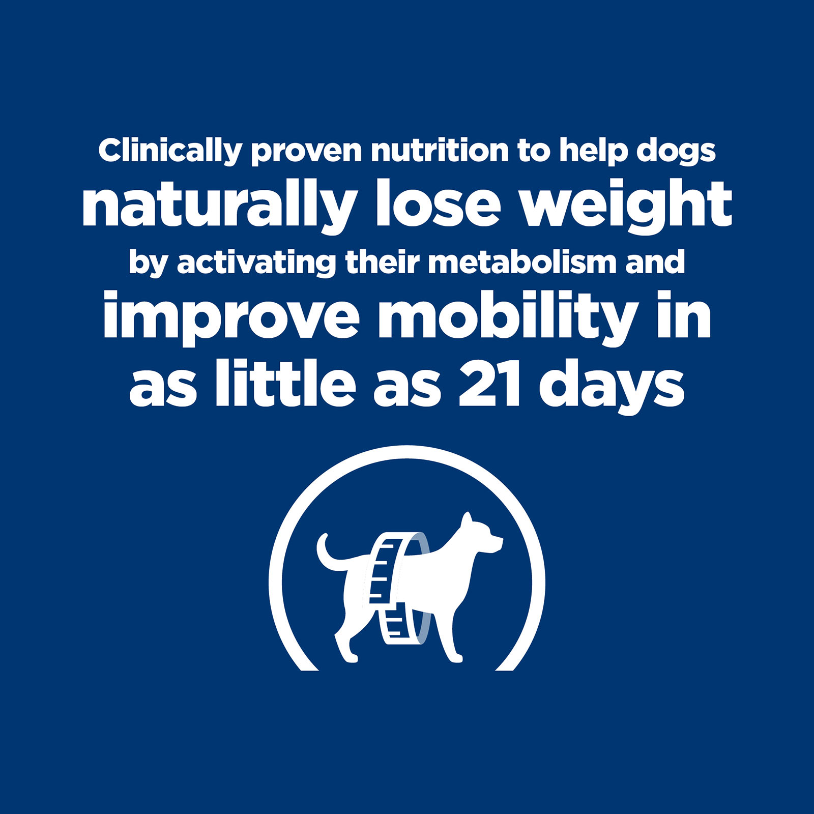 Canine metabolic mobility best sale