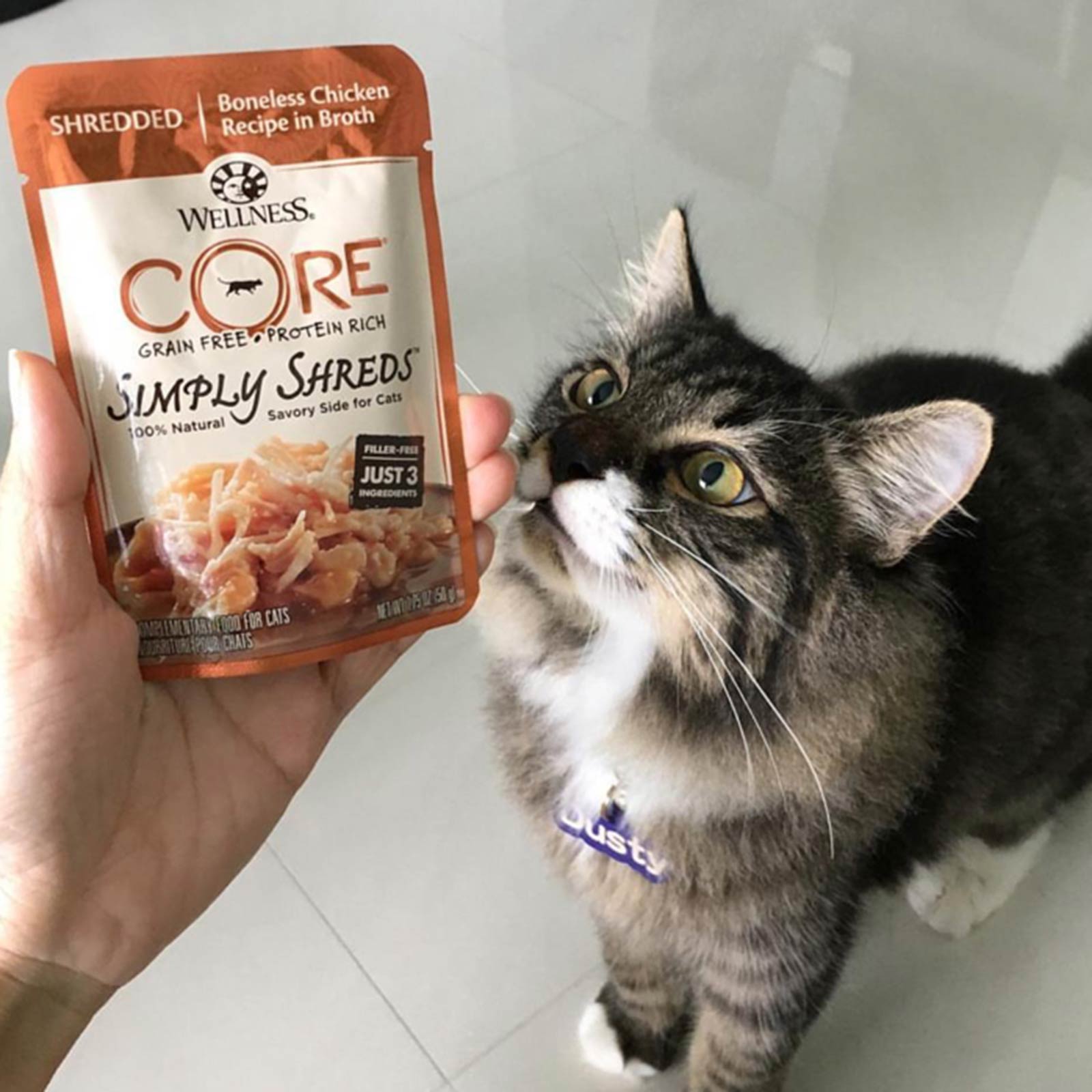 Wellness core simply shreds hot sale cat