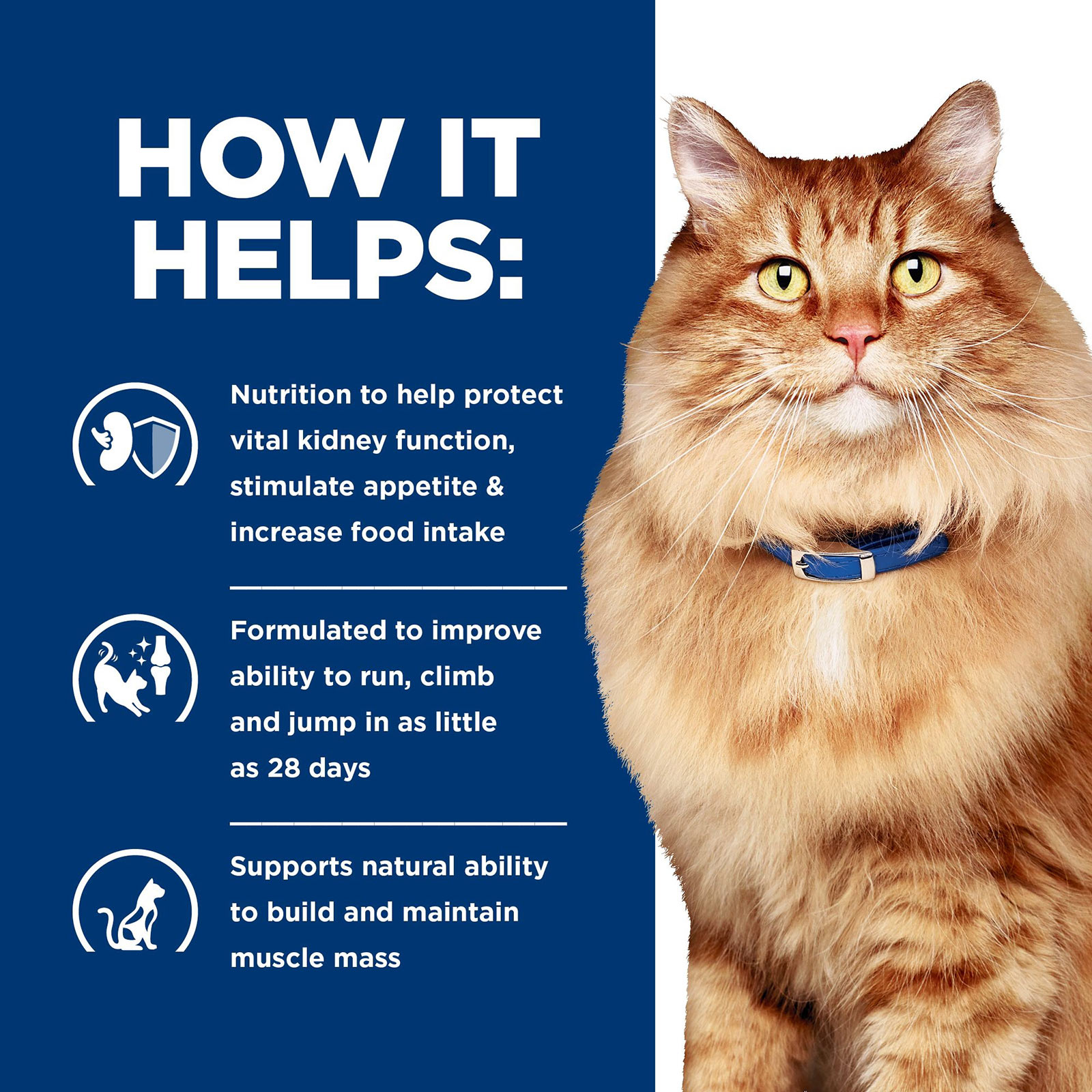 Hills Prescription Diet Feline Kidney kd Plus Mobility jd Joint