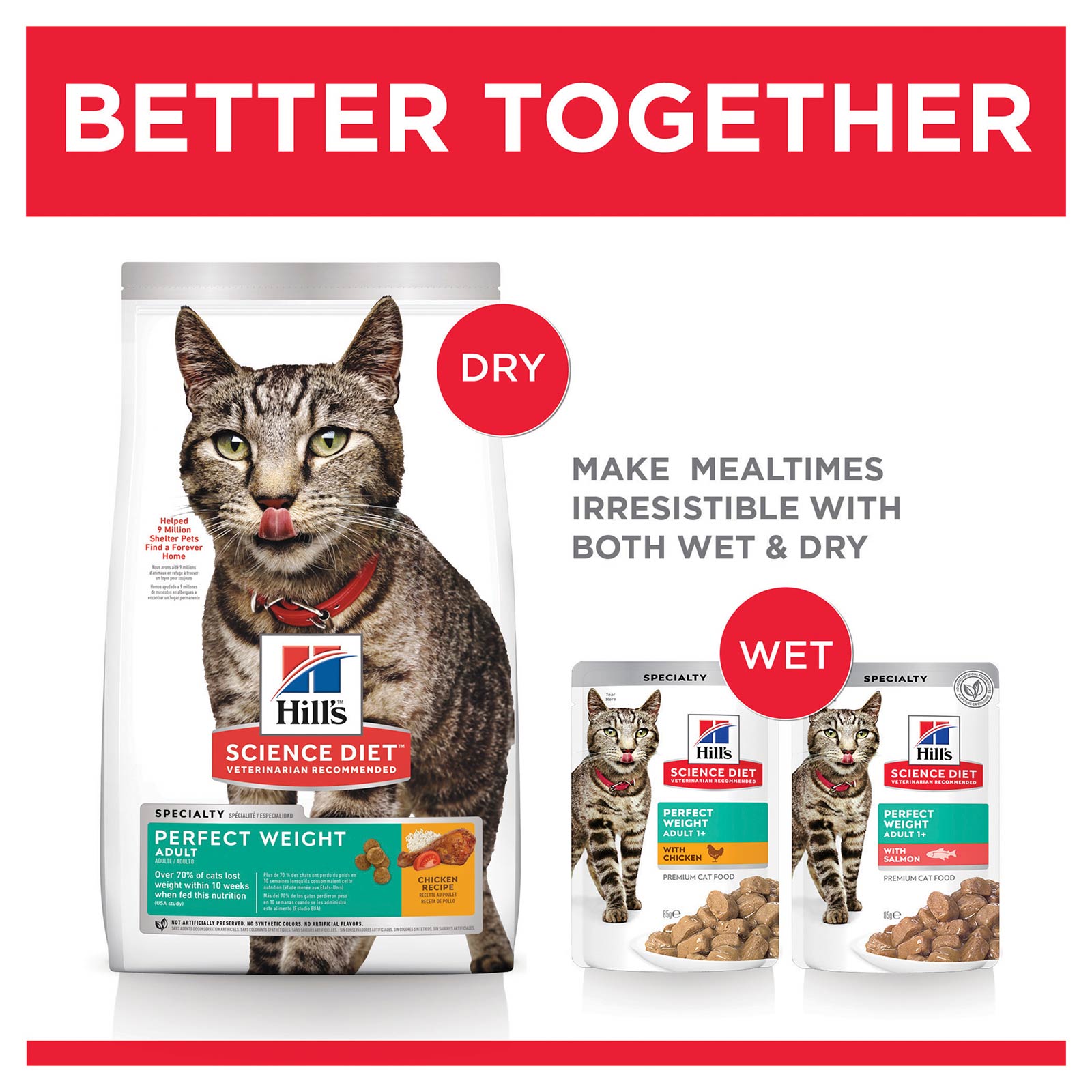 Hill's science perfect weight cat outlet food