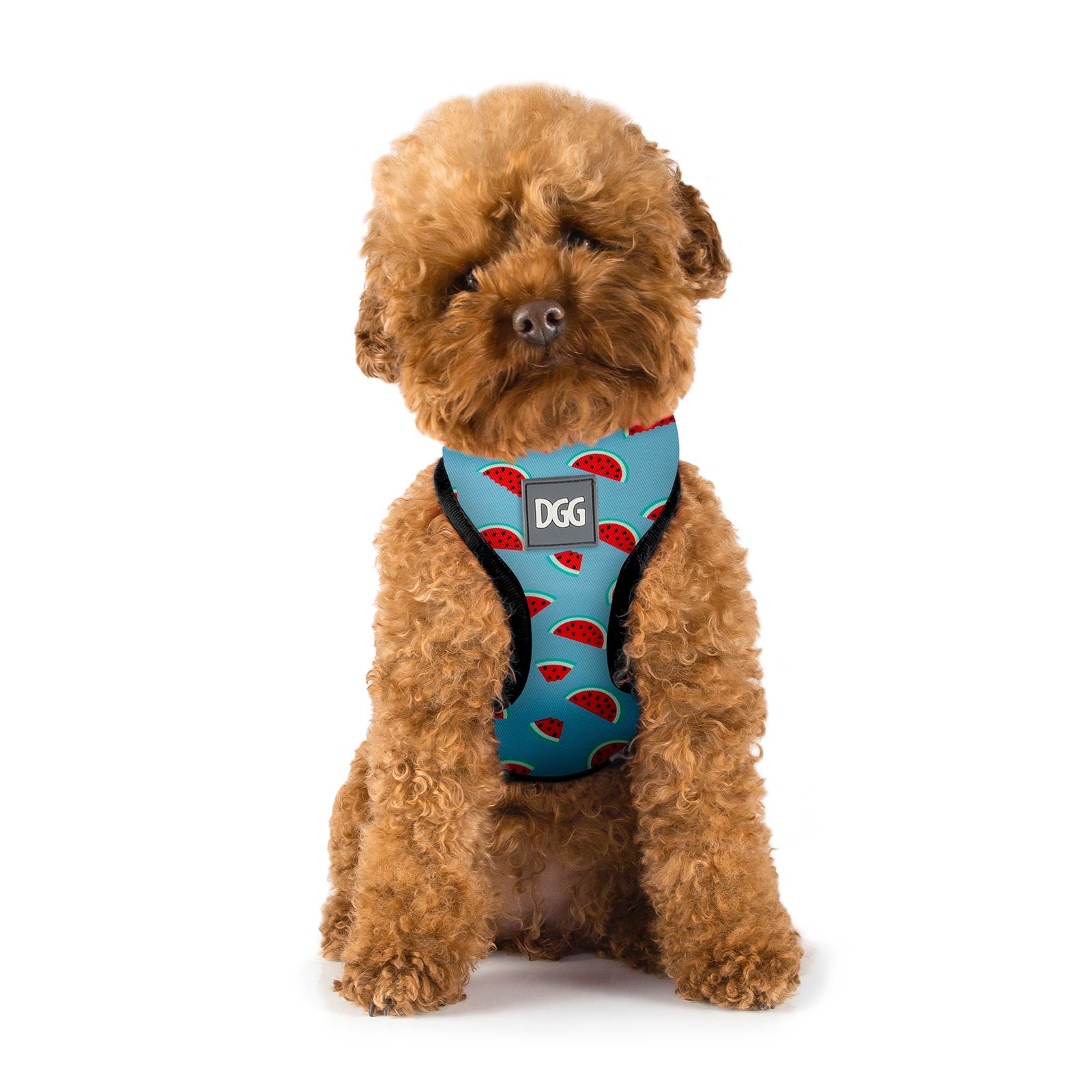 Padded easy shop walk harness